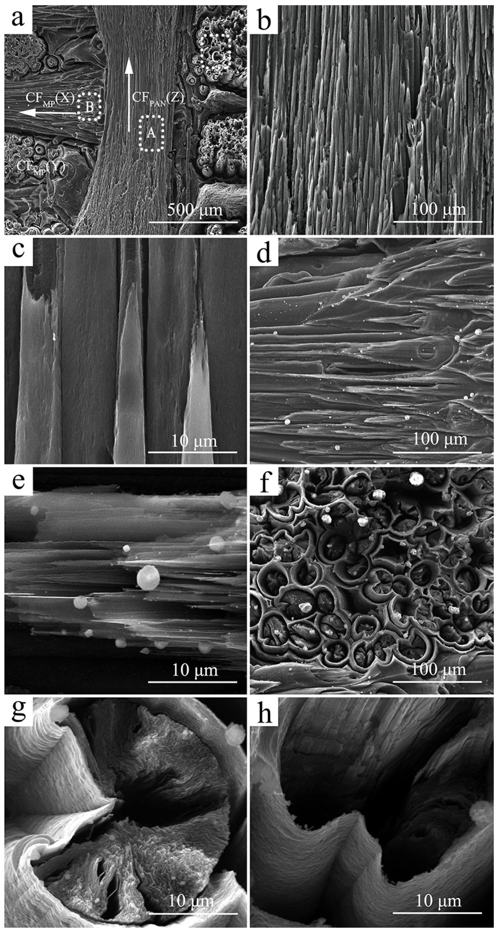 Materials 12 02723 g005