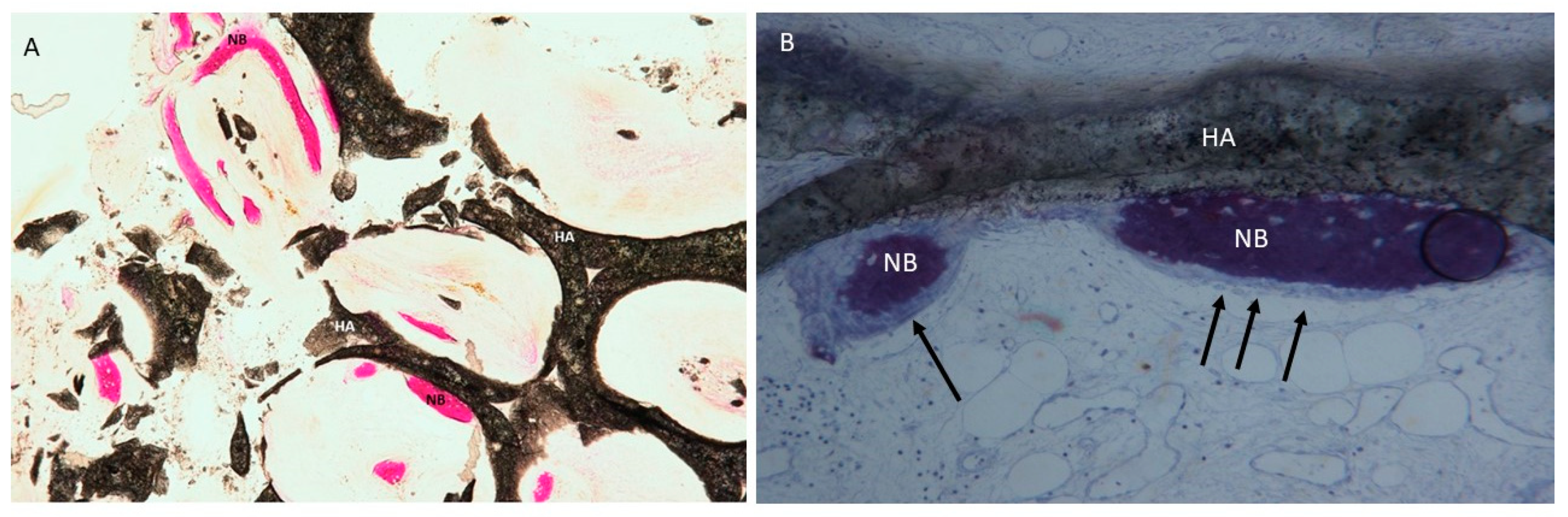 Materials 12 03079 g005