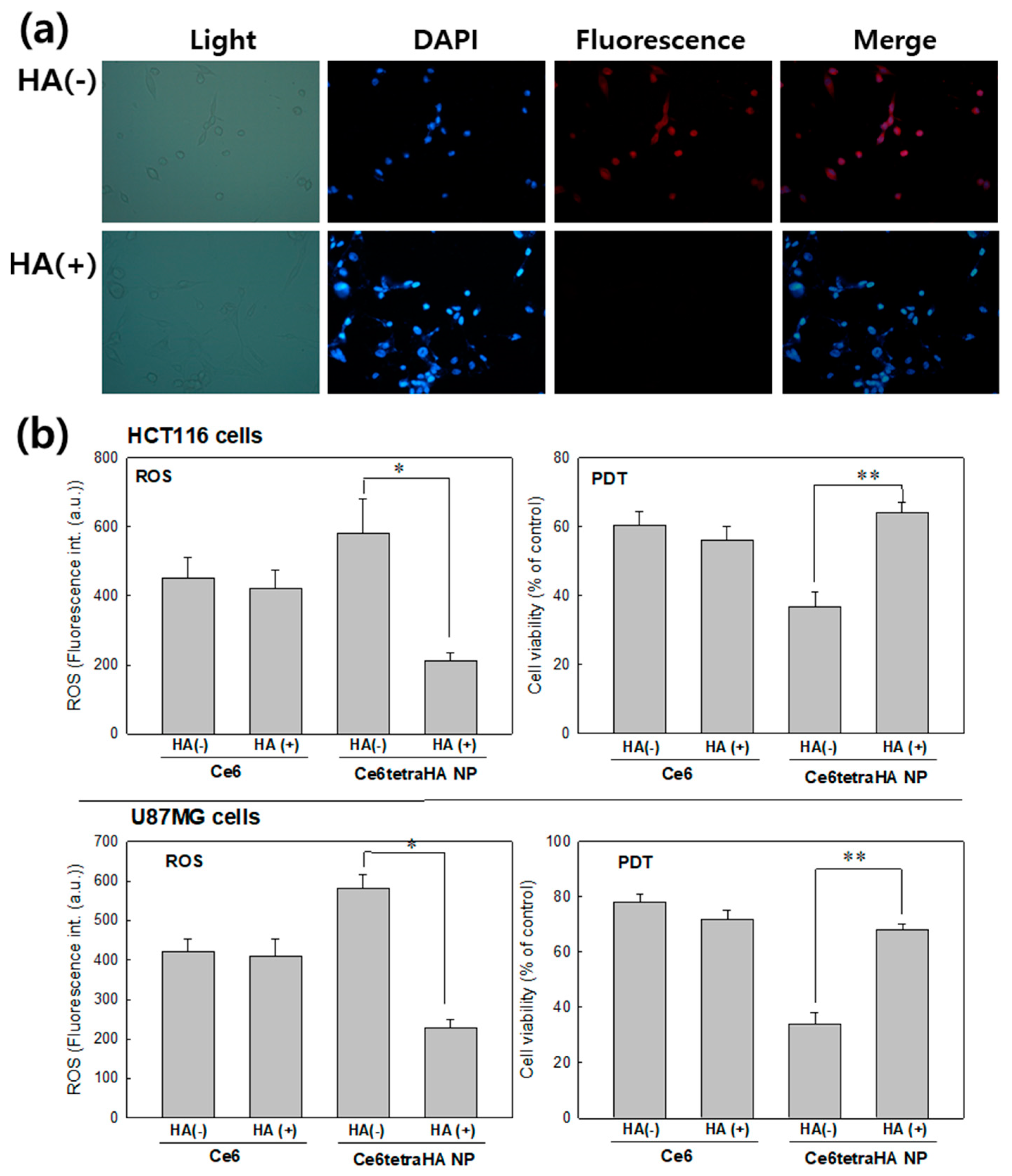Materials 12 03080 g009