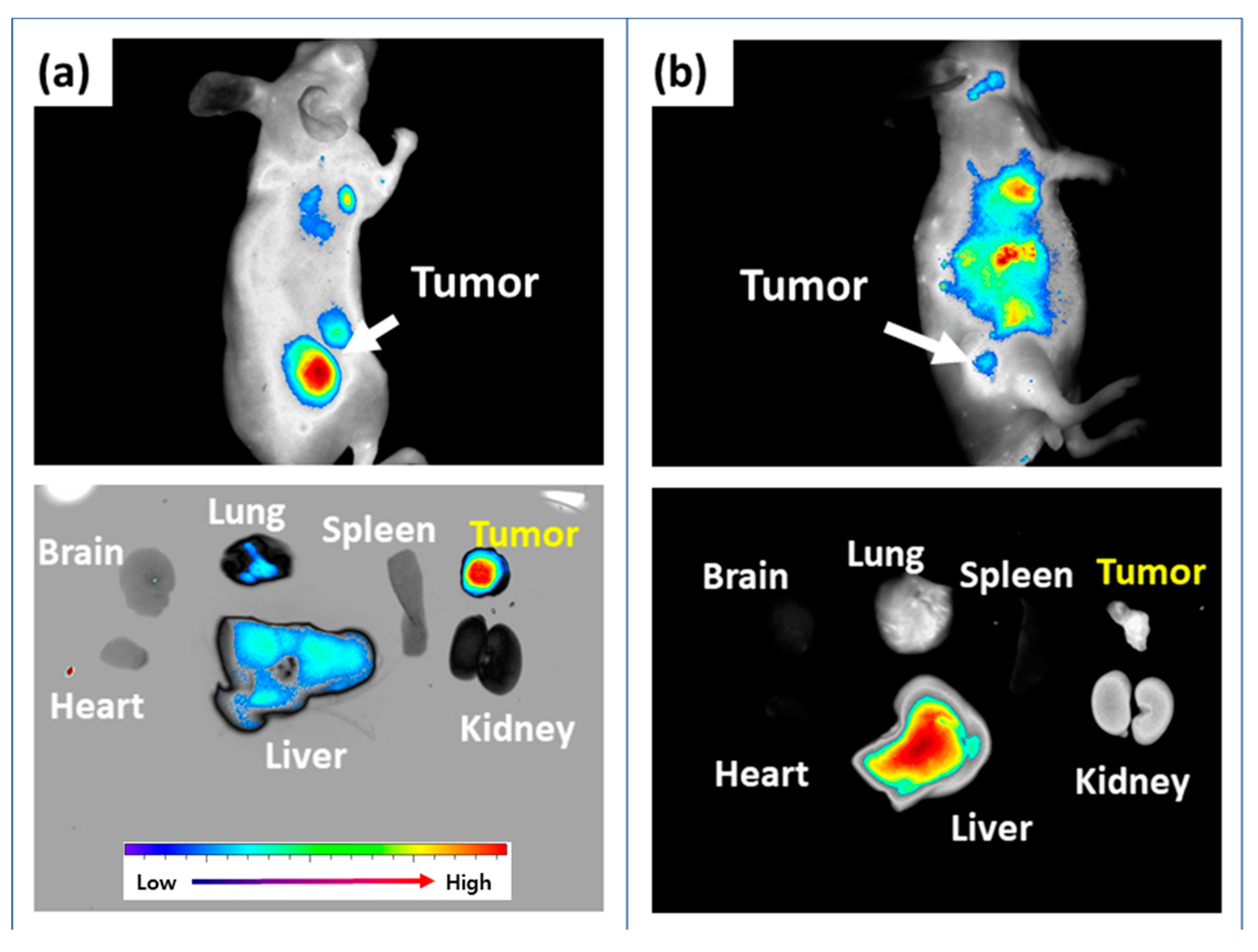 Materials 12 03080 g010