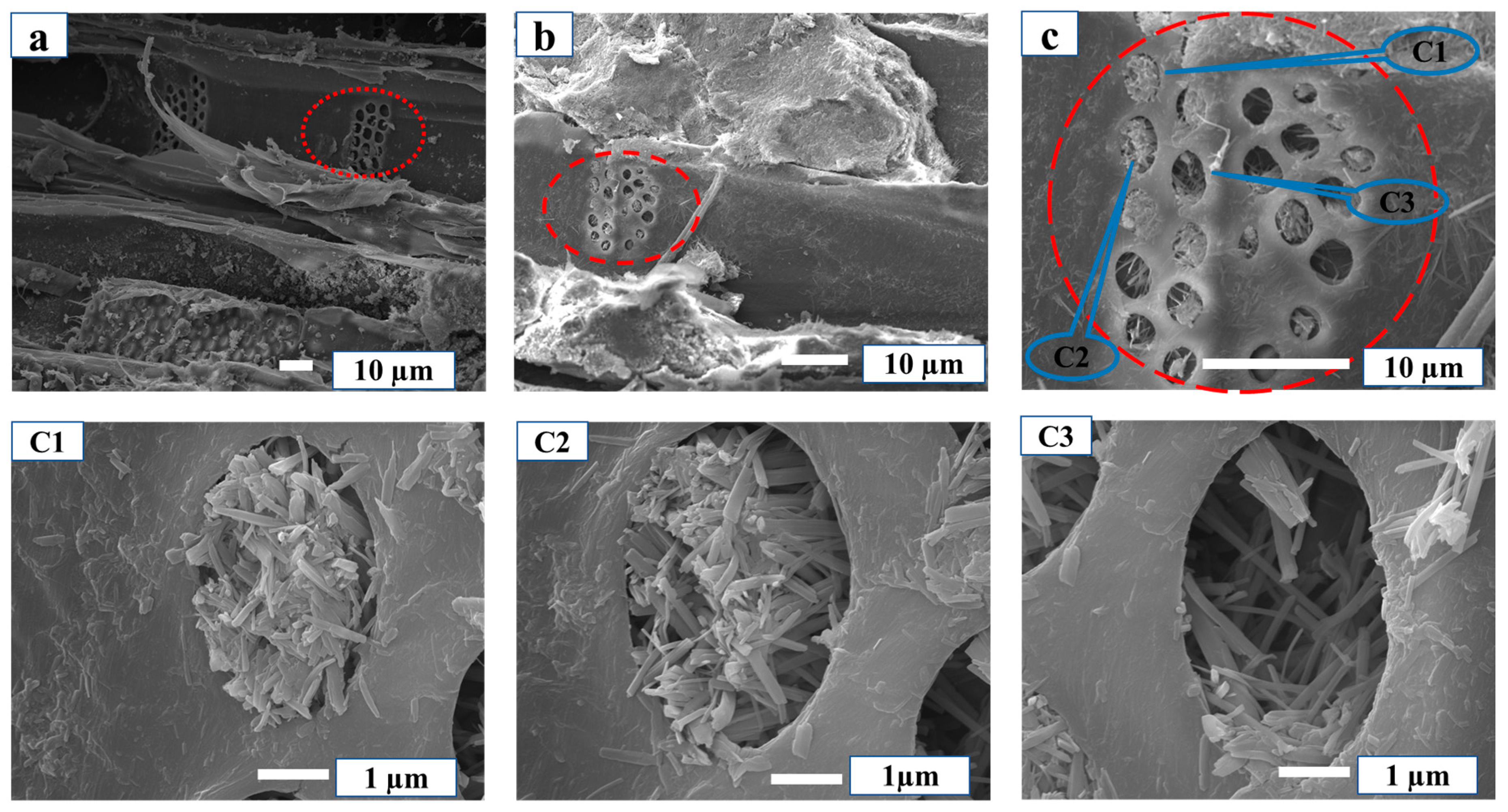 Materials 12 03161 g002