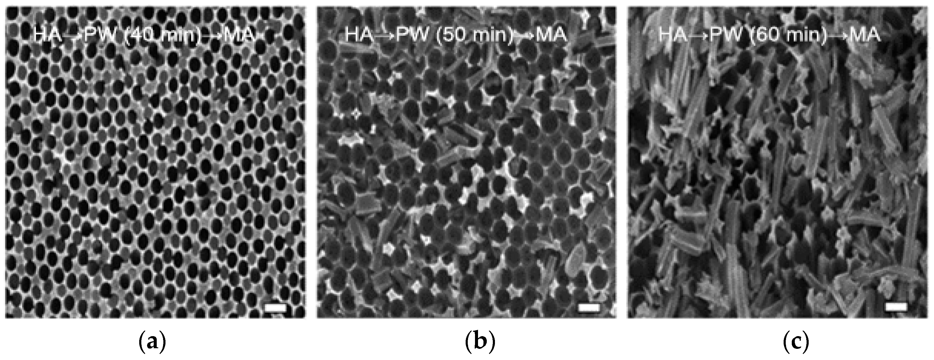 Materials 12 03231 g003a