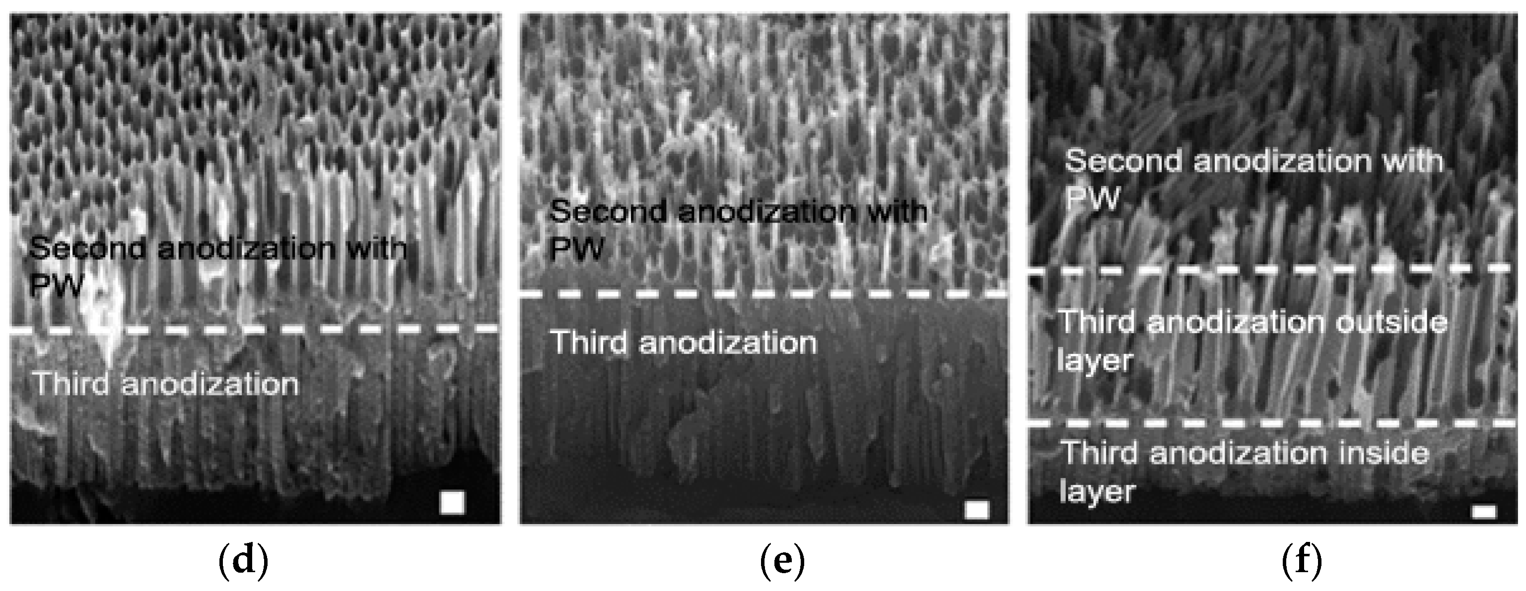 Materials 12 03231 g003b