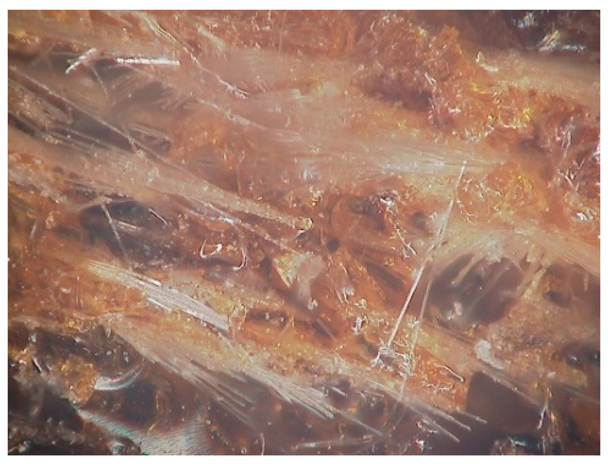 Materials 12 03246 g010