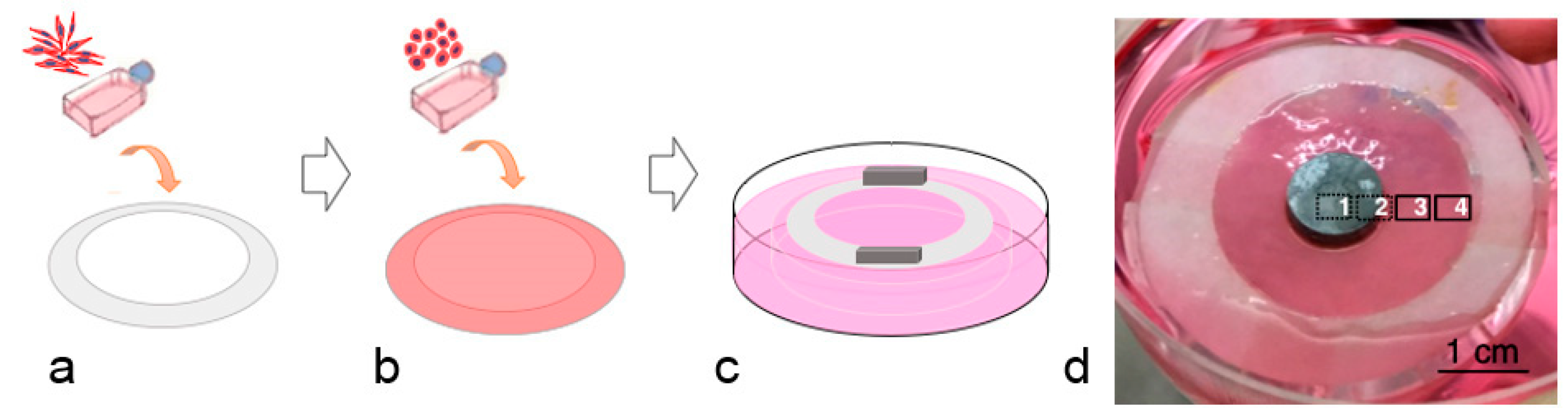 Materials 12 03325 g001