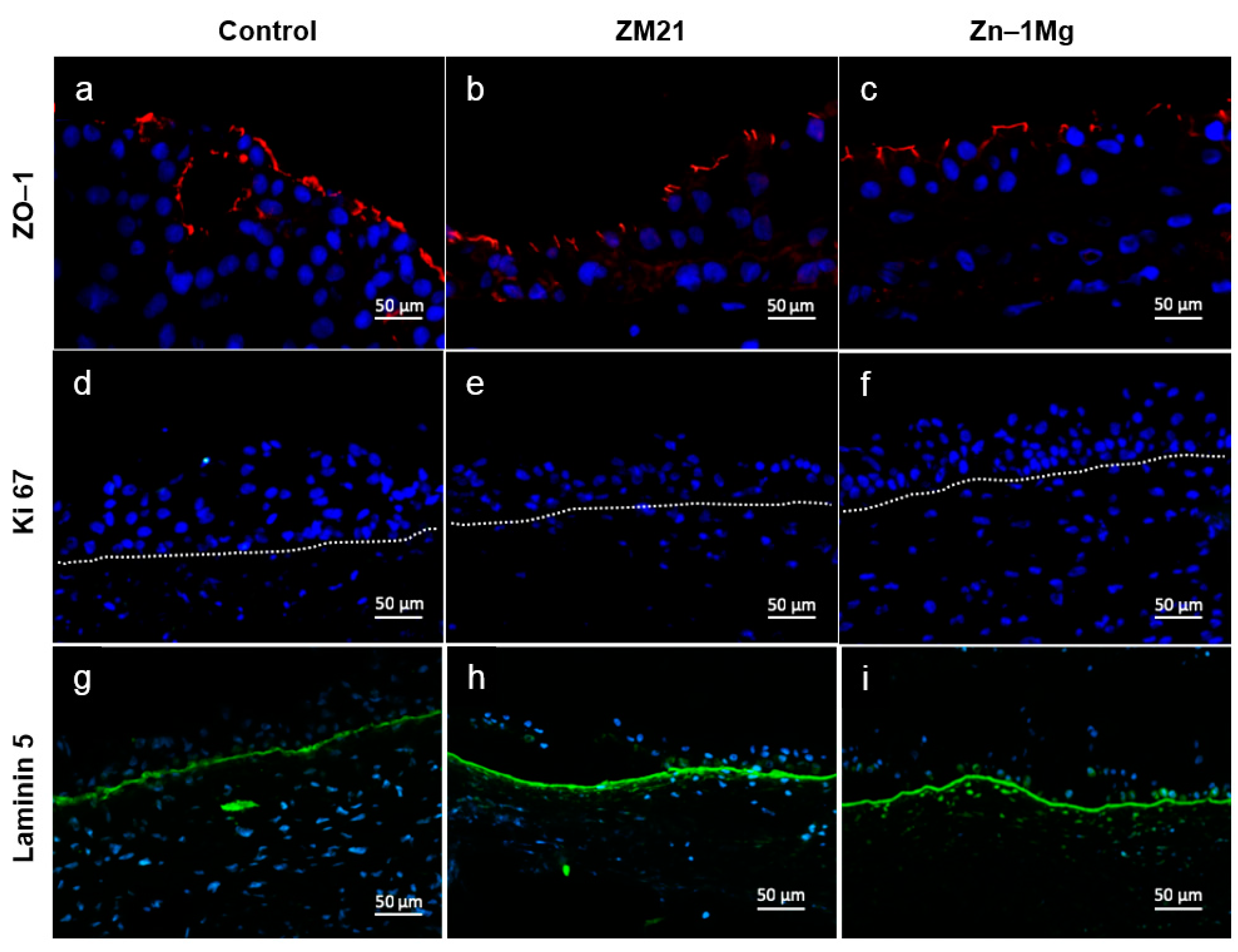 Materials 12 03325 g005