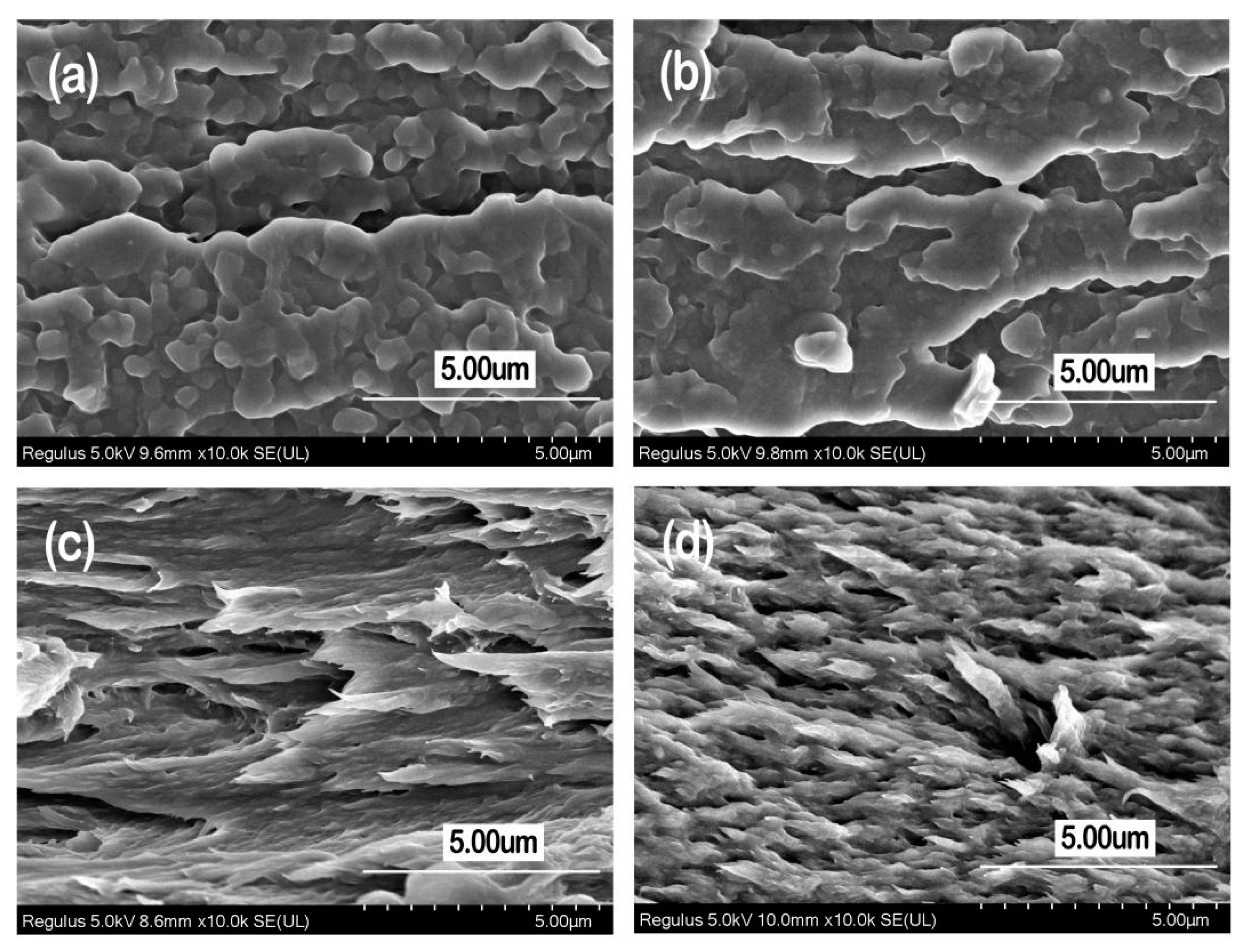 Materials 13 00067 g010