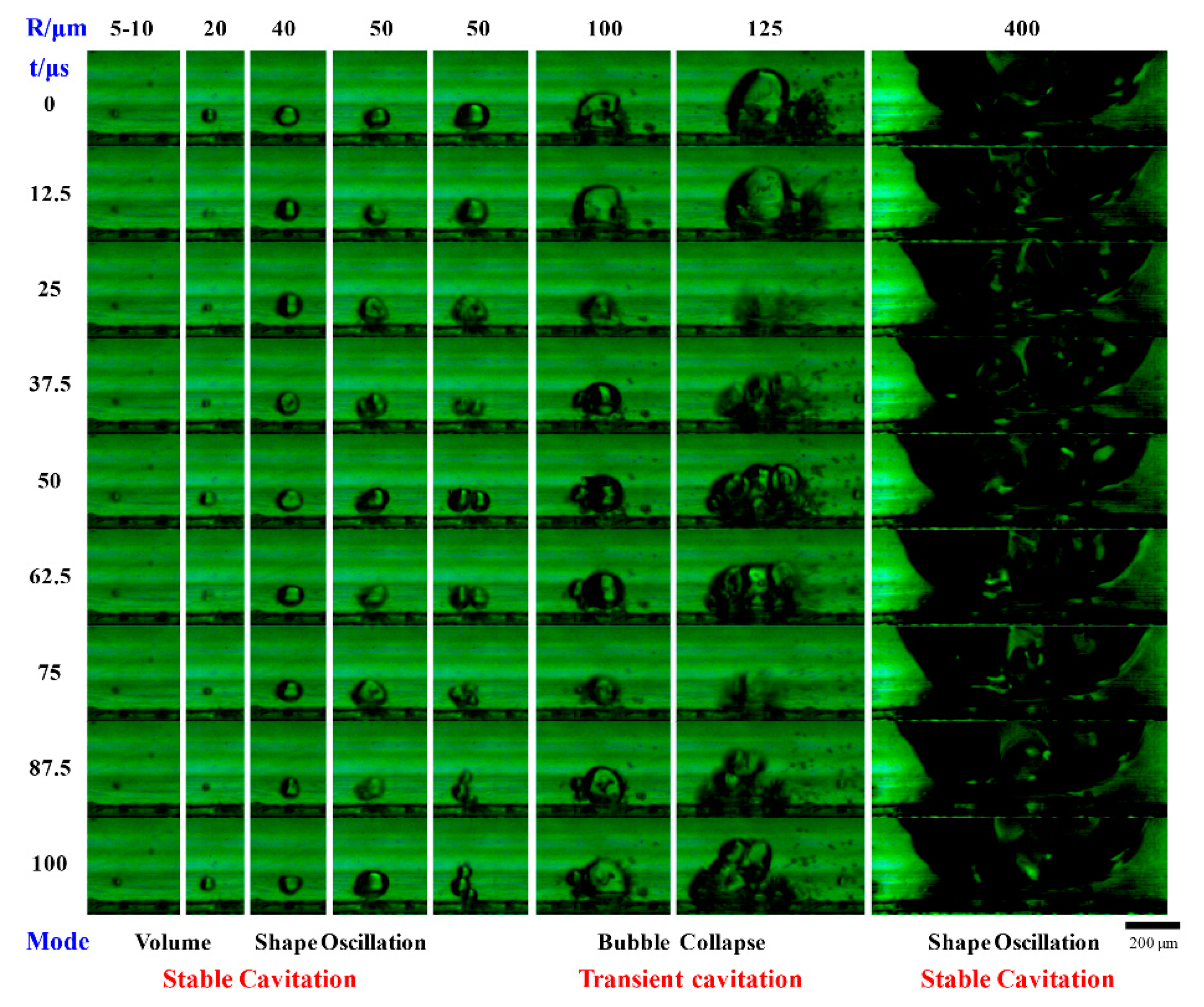 Materials 13 00344 g002