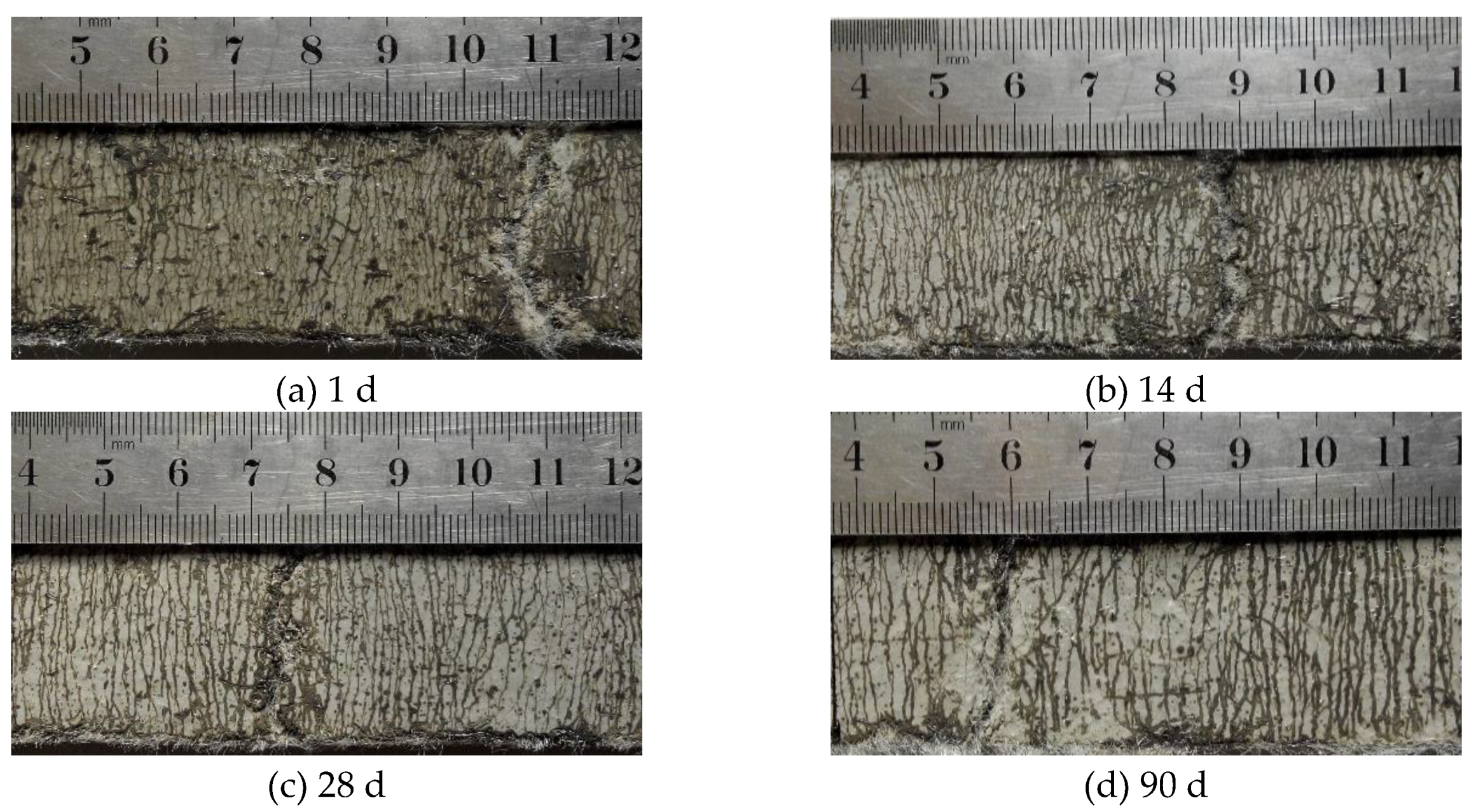 Materials 13 01757 g008