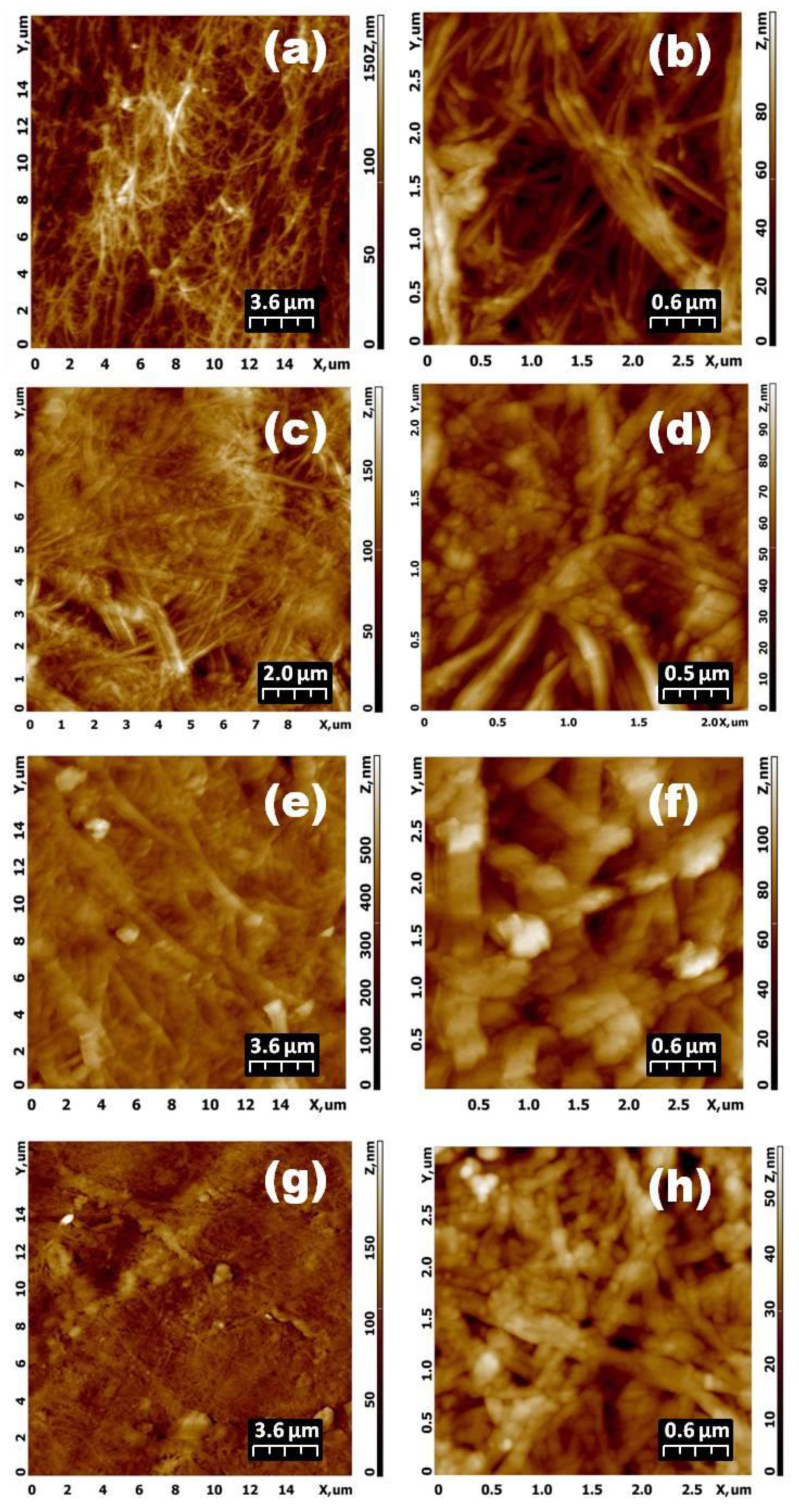 Materials 13 02087 g007