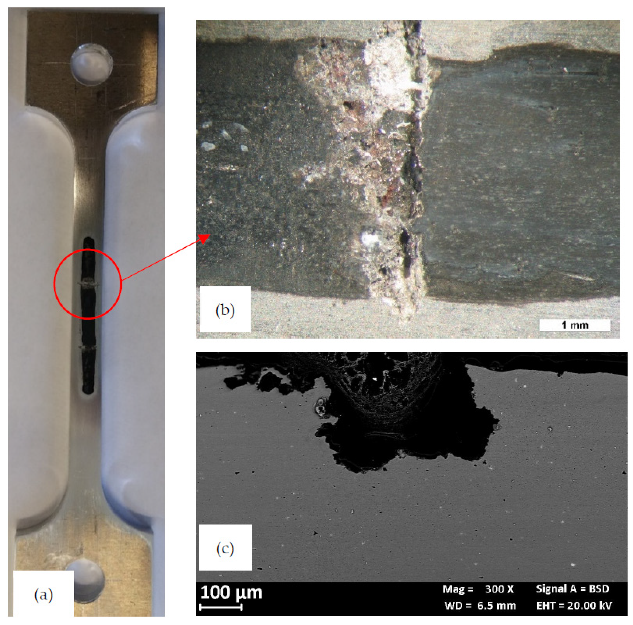 Materials 13 02600 g011