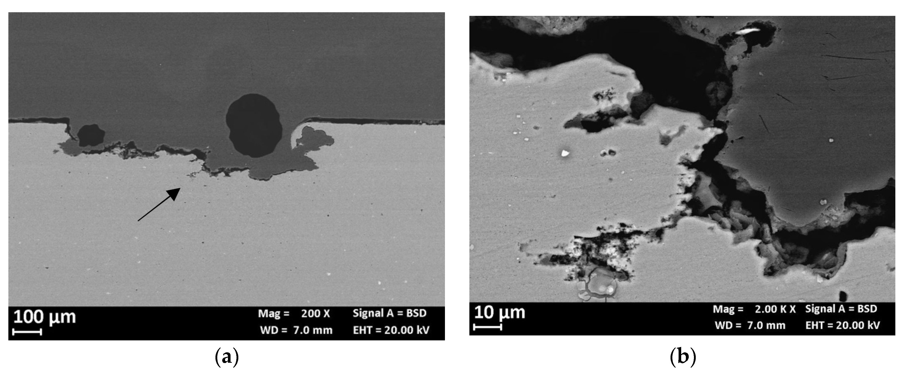 Materials 13 02600 g012