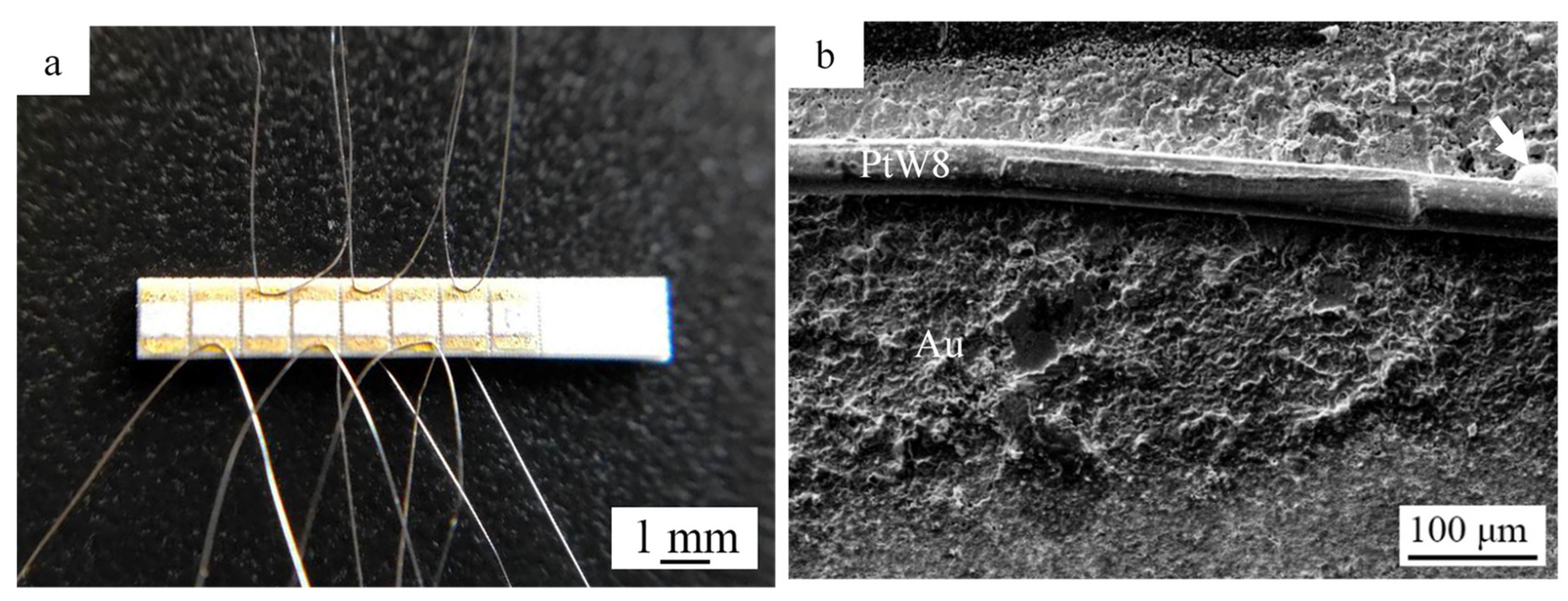 Materials 13 02911 g005