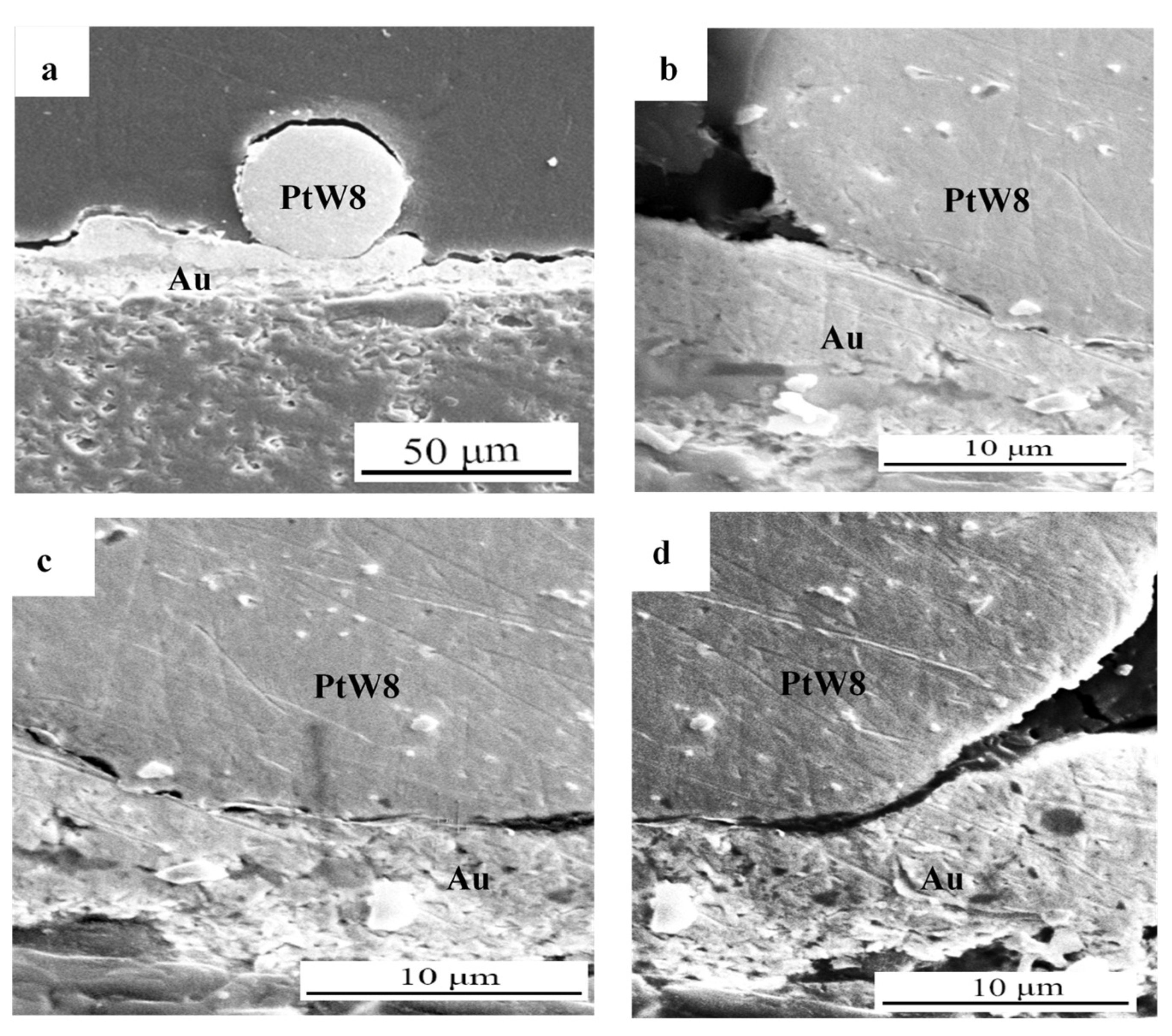 Materials 13 02911 g006