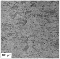 Materials 13 03259 i004