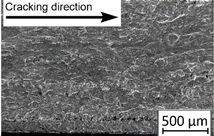 Materials 13 03259 i011