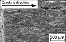 Materials 13 03259 i012