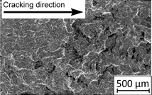 Materials 13 03259 i016