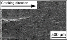 Materials 13 03259 i018