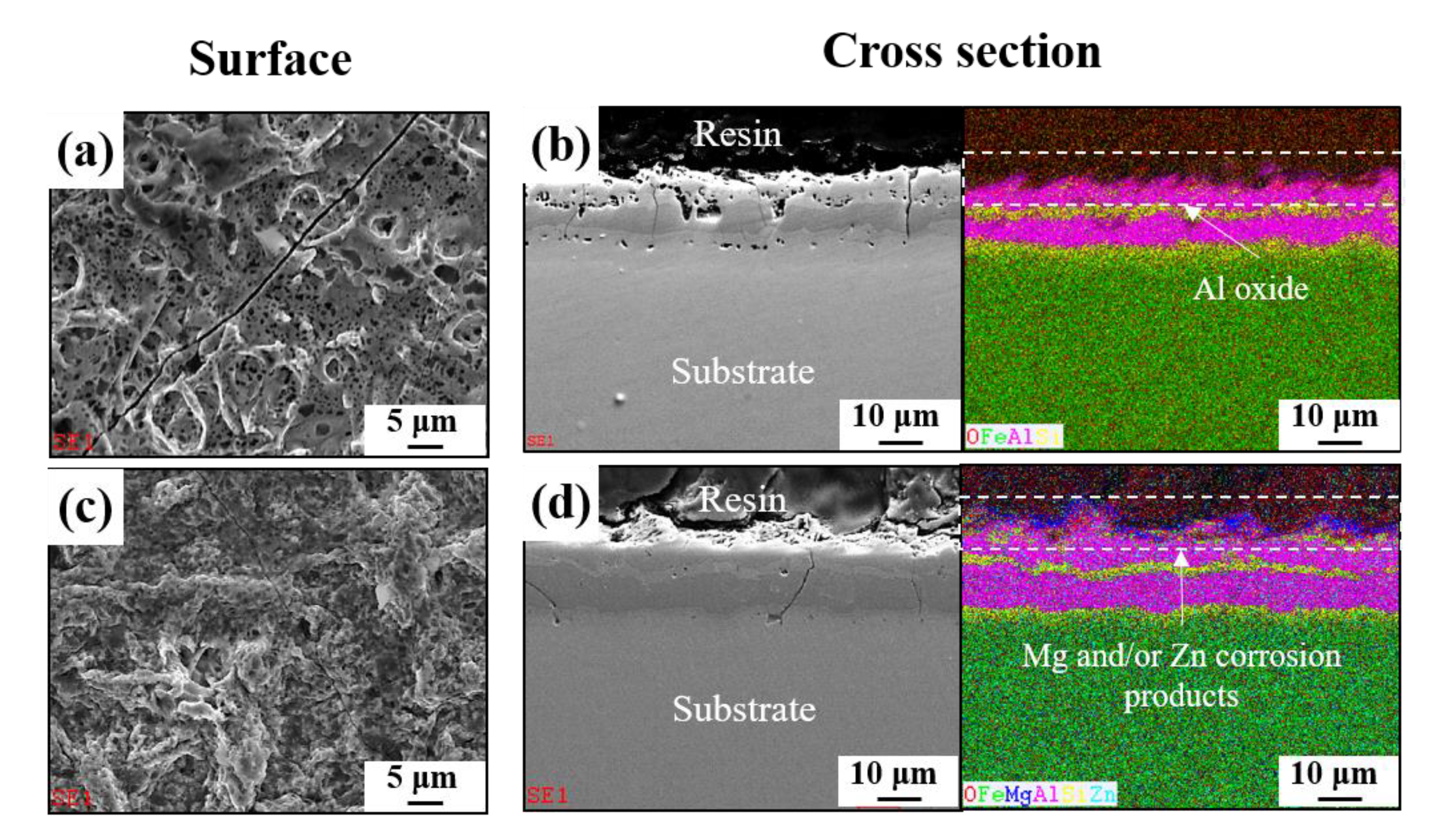 Materials 13 03379 g007