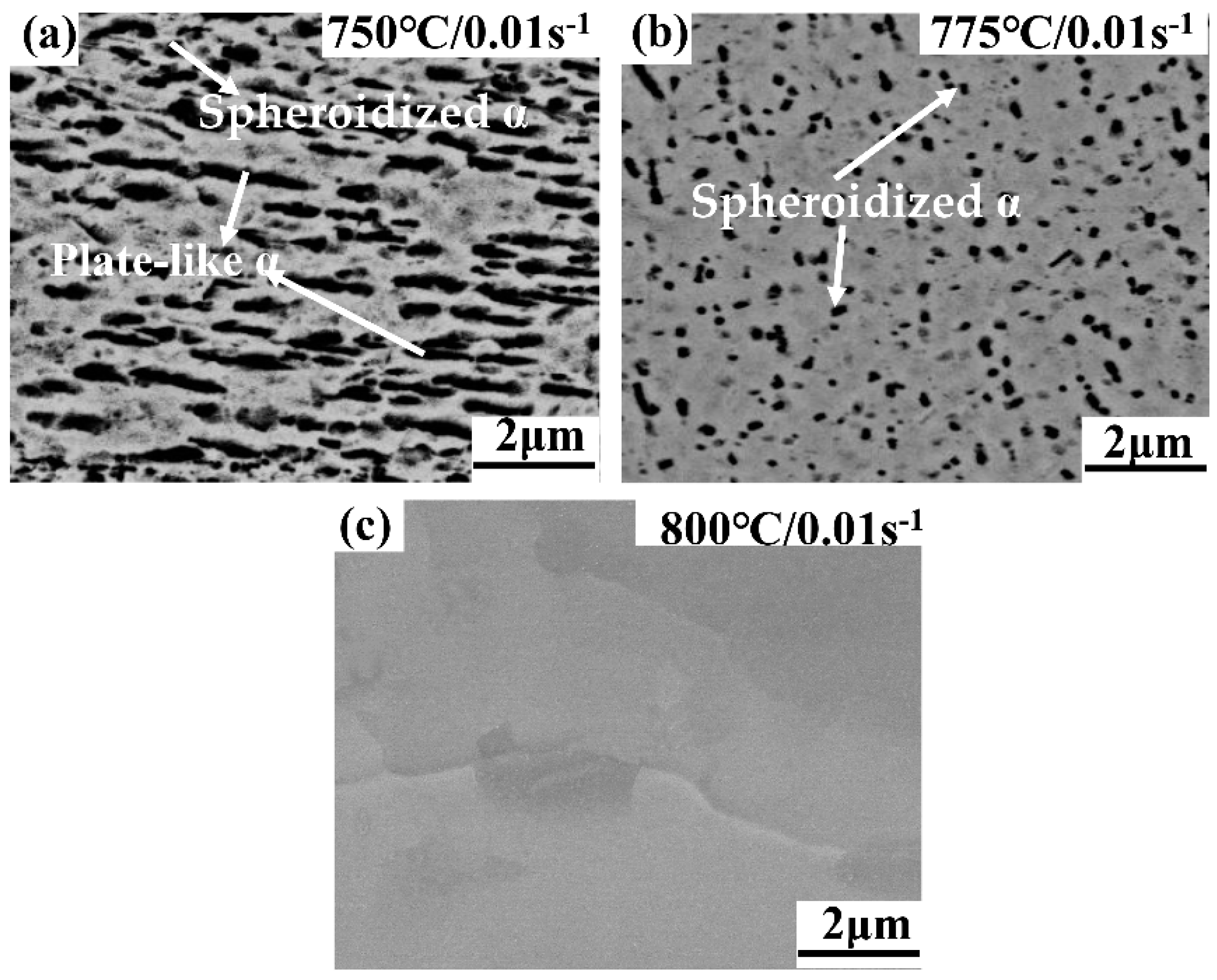 Materials 13 03623 g009