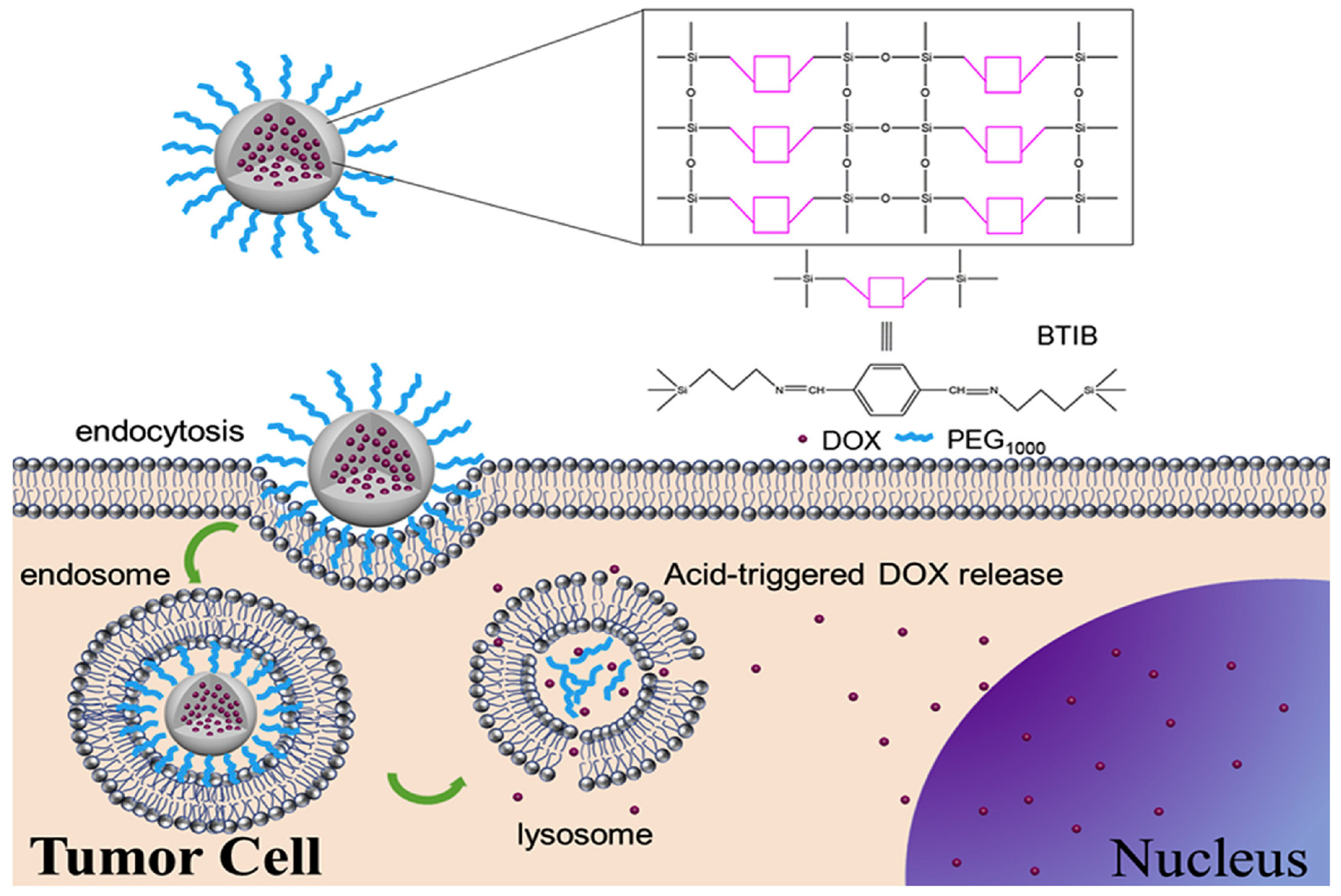 Materials 13 03668 g005