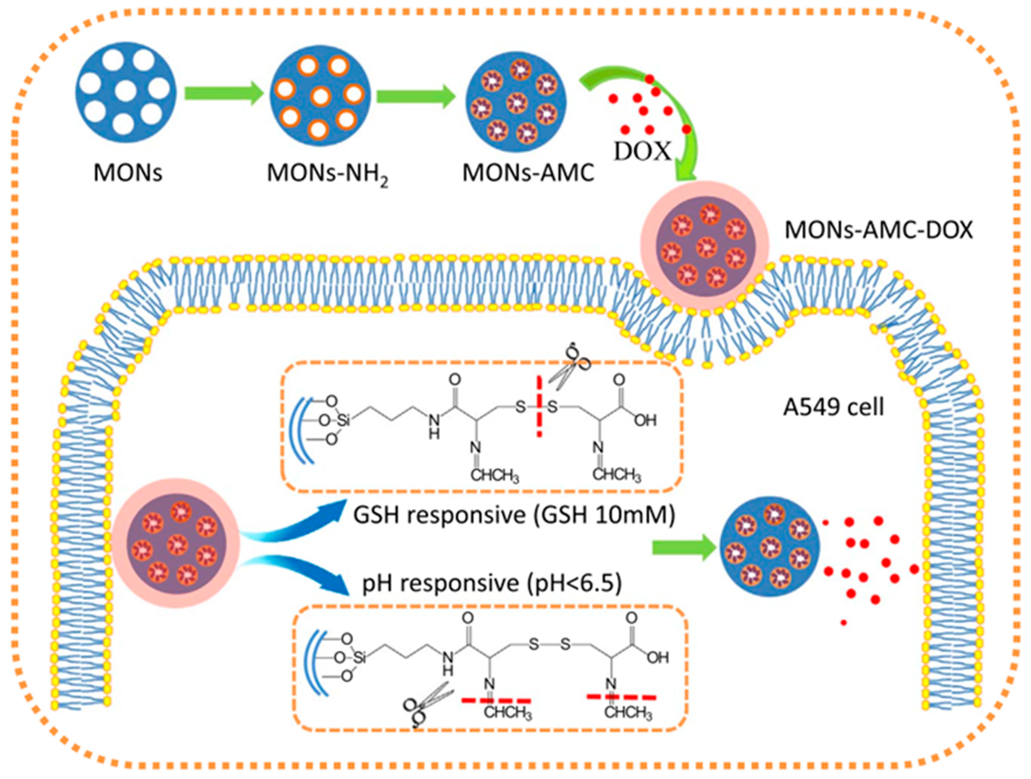 Materials 13 03668 g008