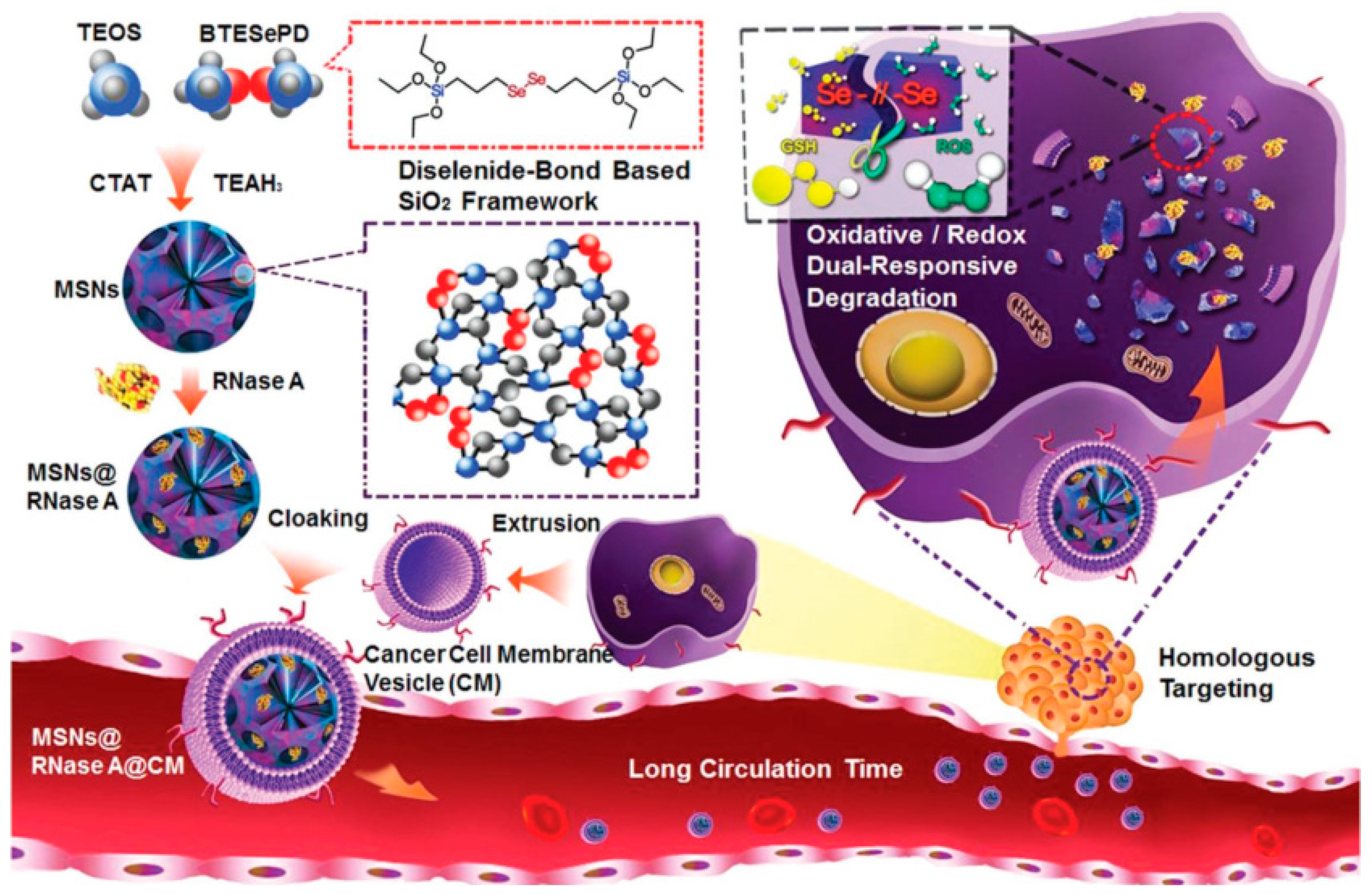 Materials 13 03668 g010