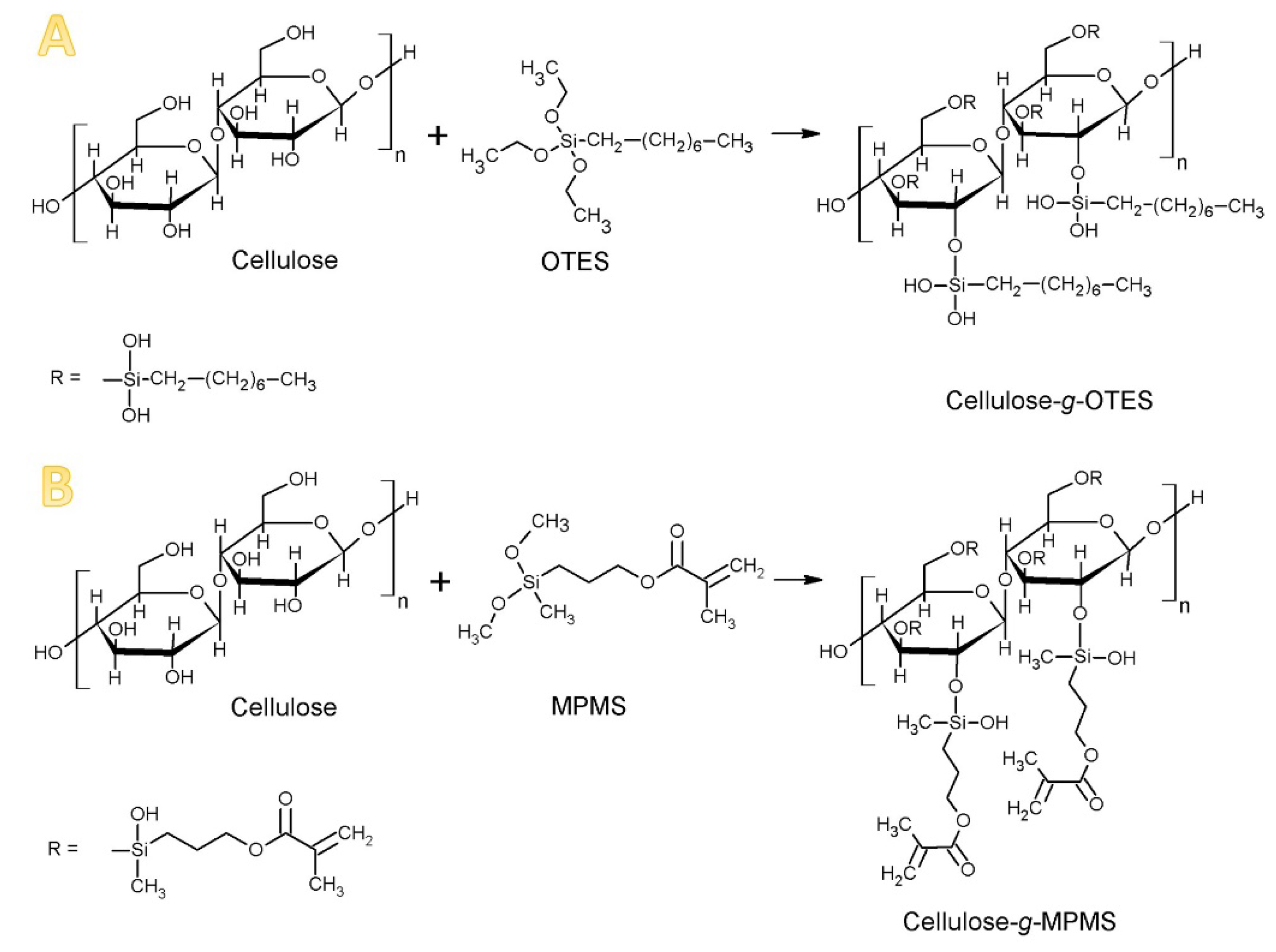 Materials 13 03807 g001