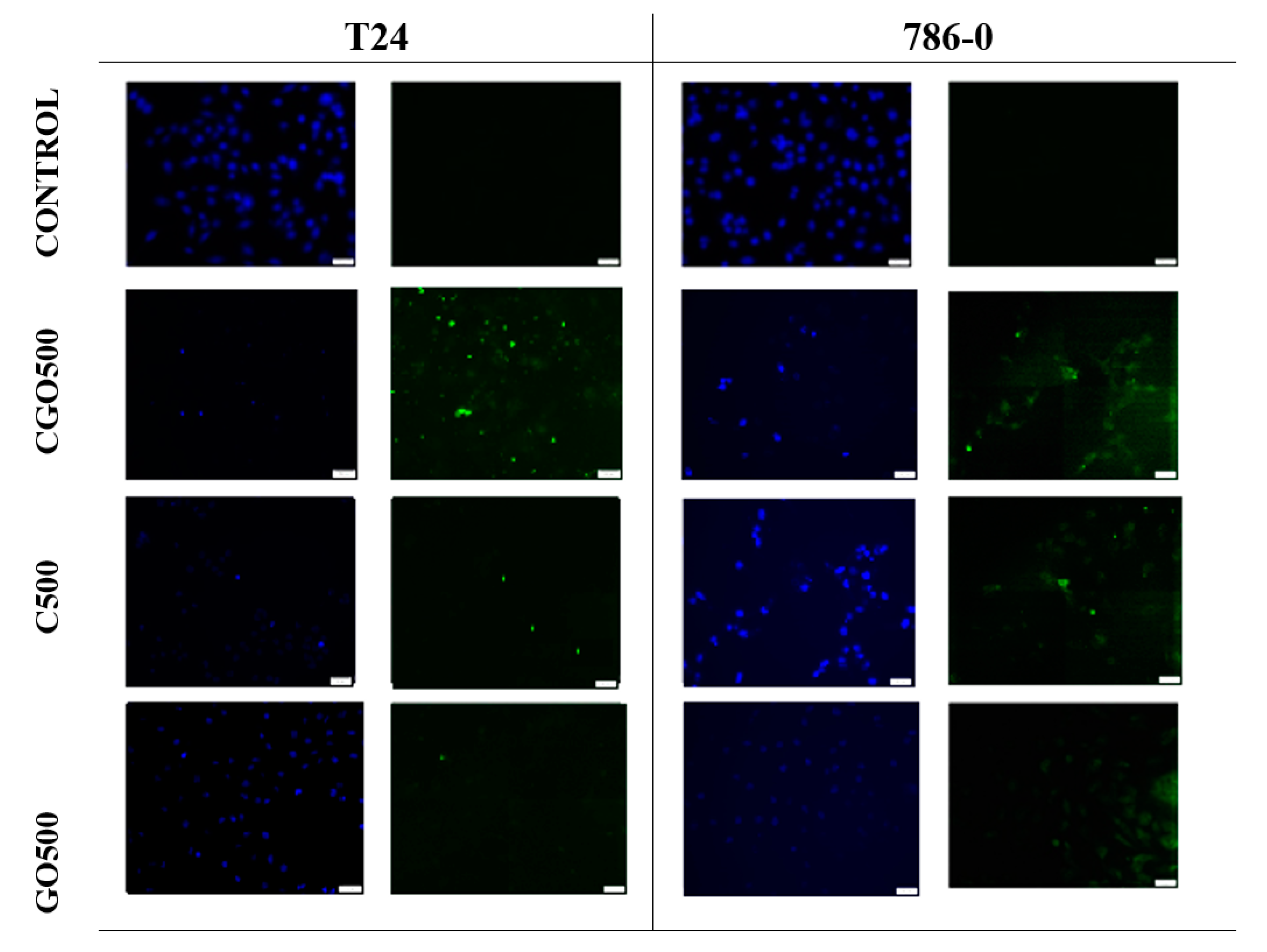 Materials 13 04224 g008