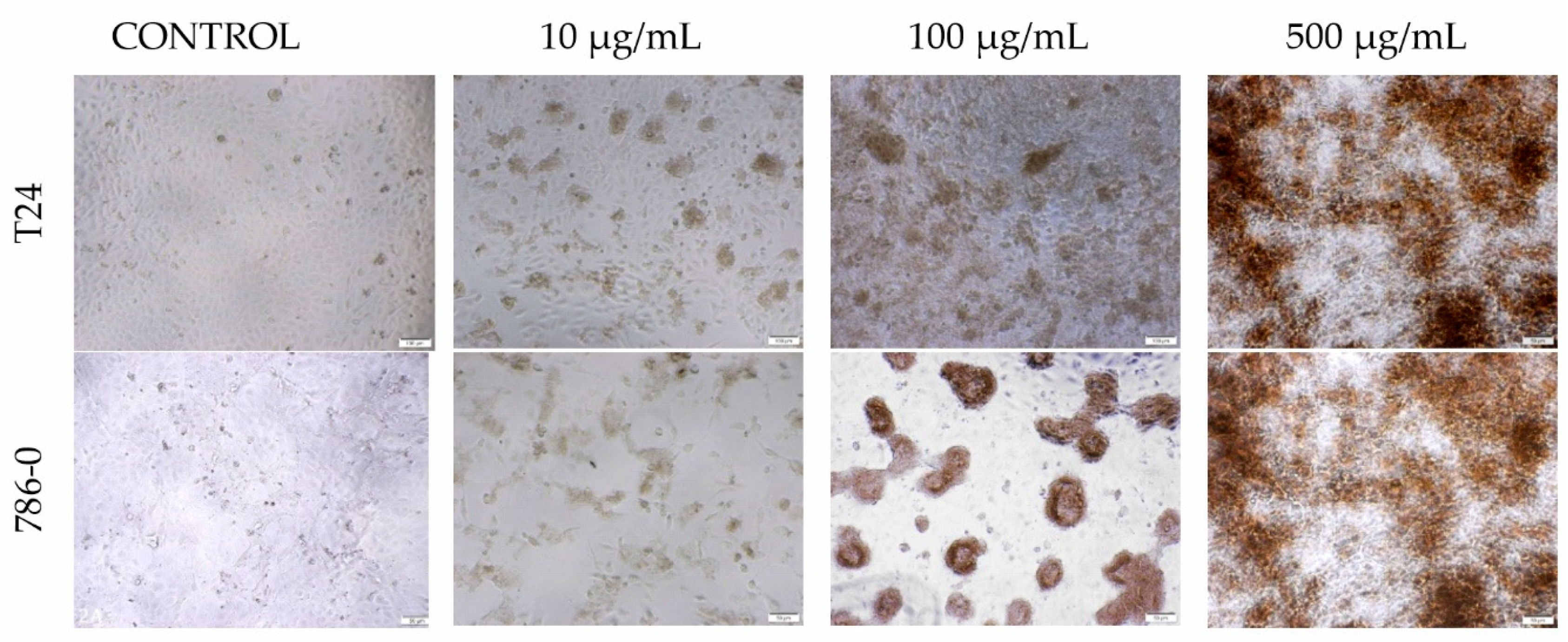 Materials 13 04224 g009