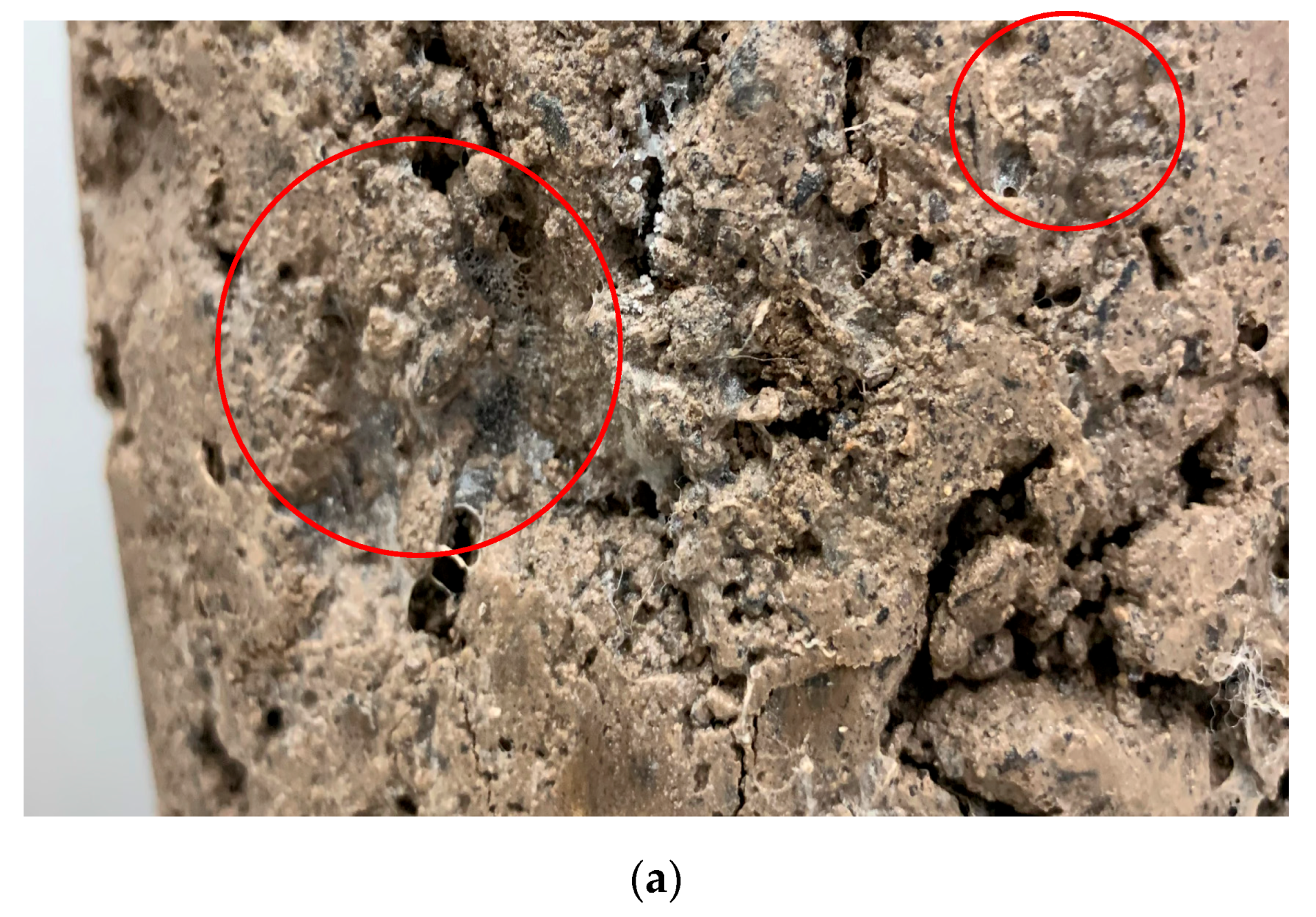 Materials 13 04253 g006a