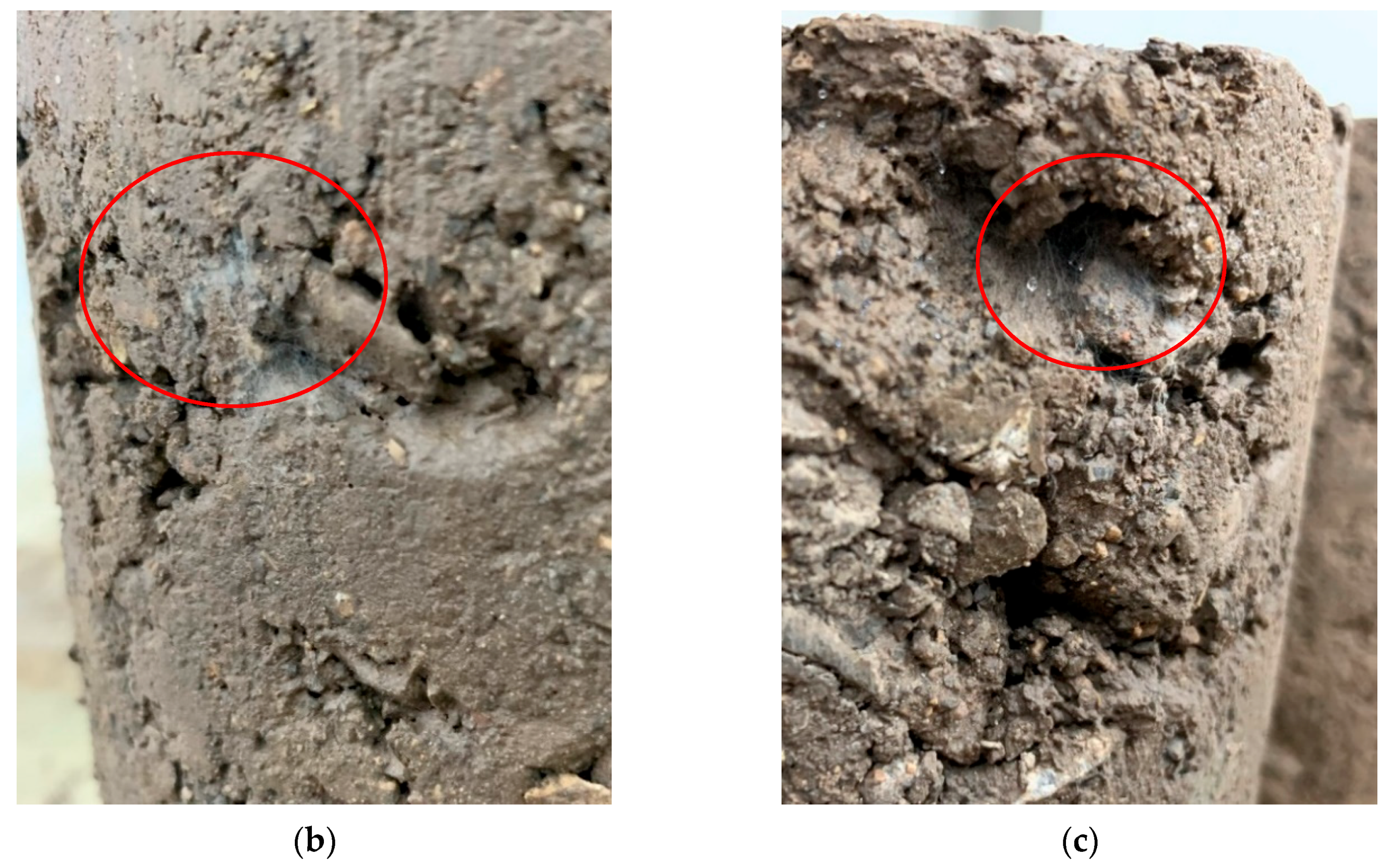 Materials 13 04253 g006b