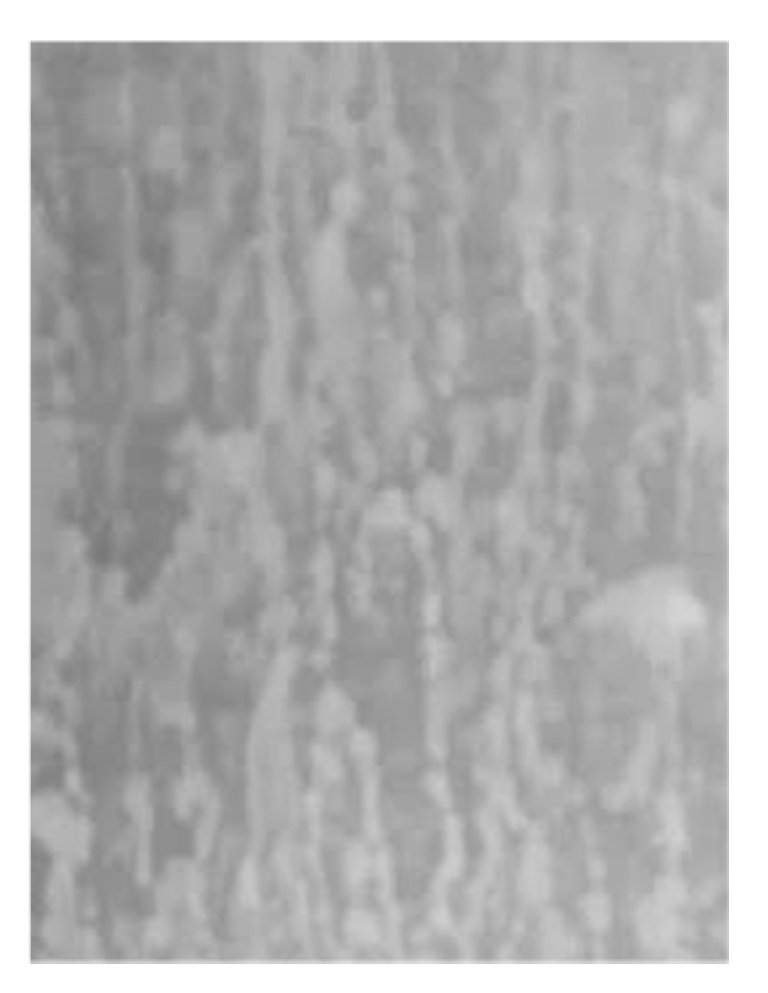 Materials 13 04405 g008