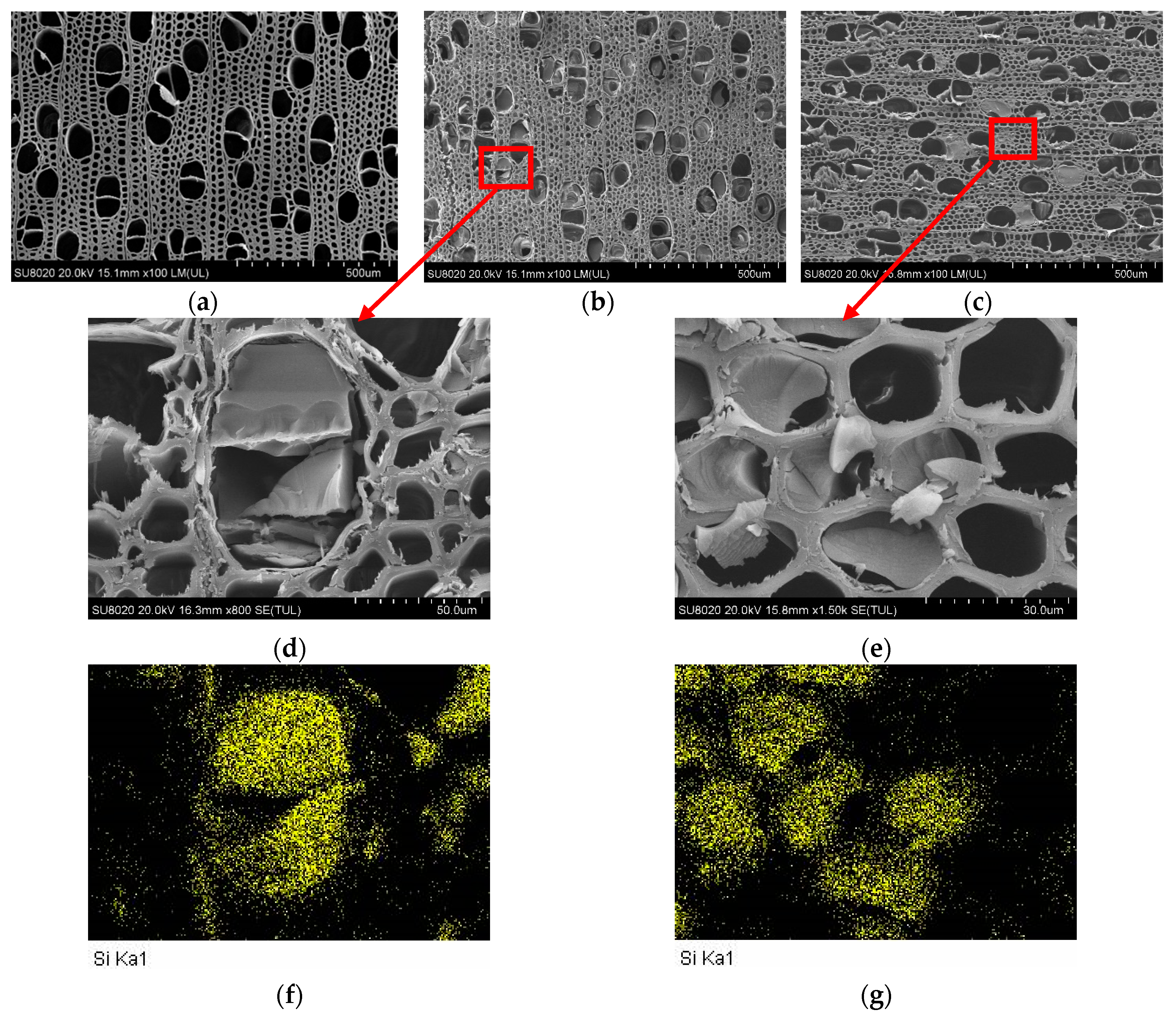 Materials 13 04478 g001 Materials 13 04478 g001