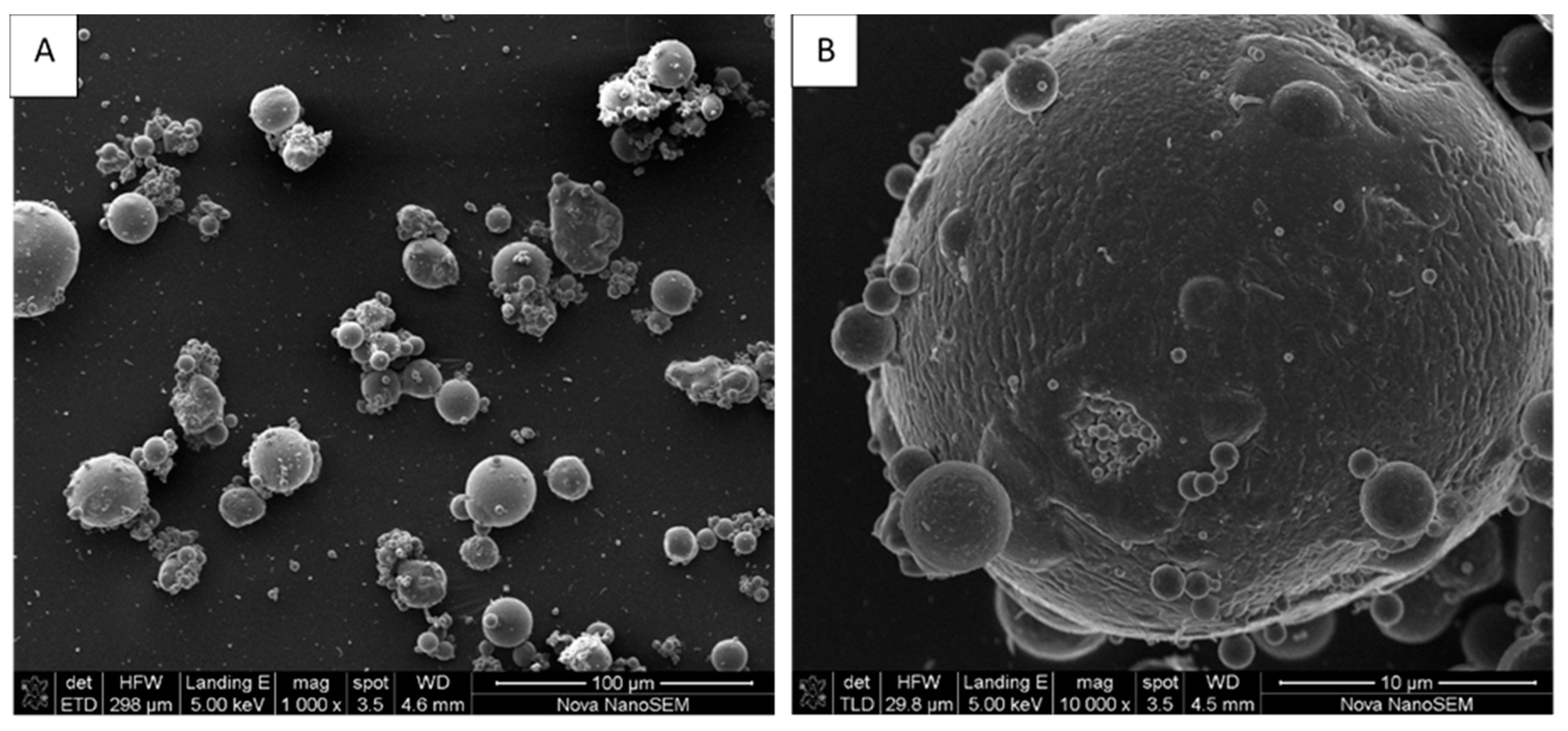 Materials 13 05699 g002