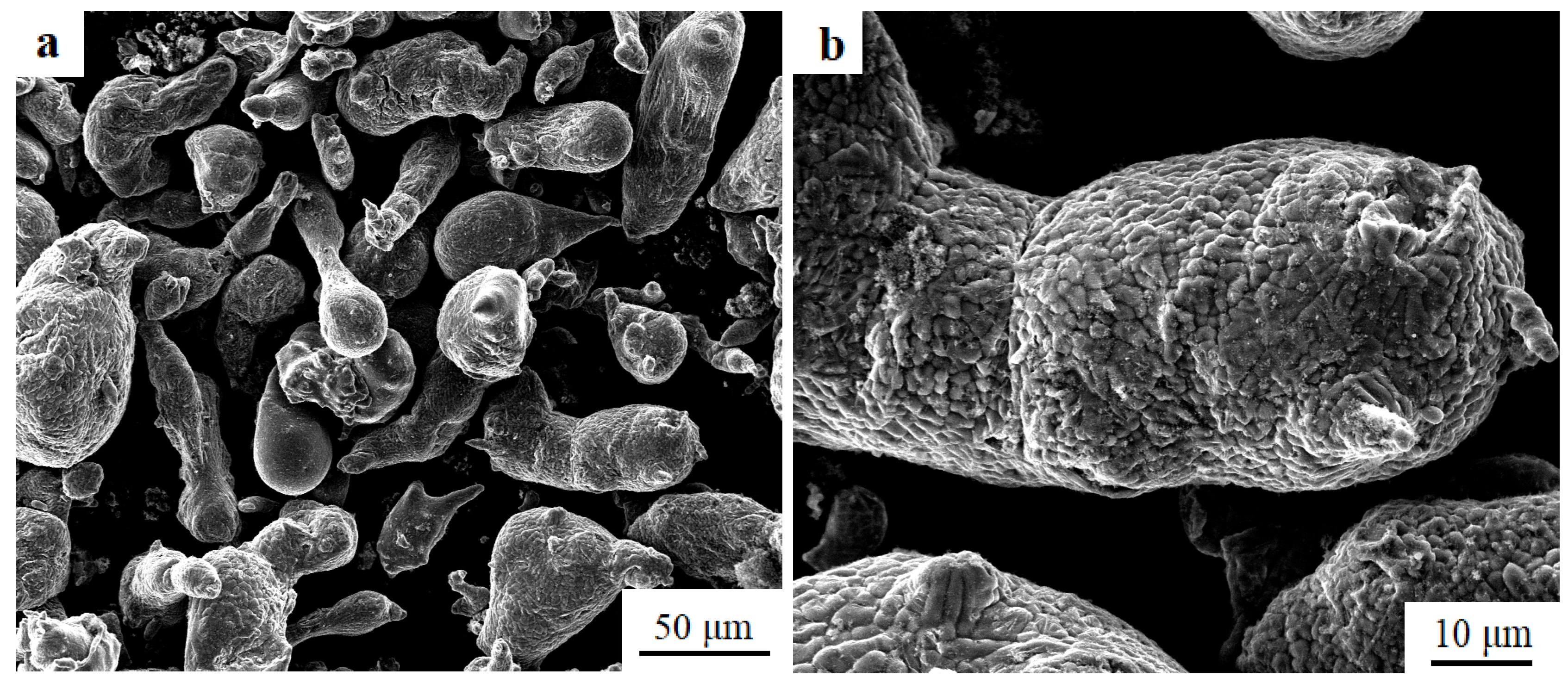 Materials 13 05808 g001