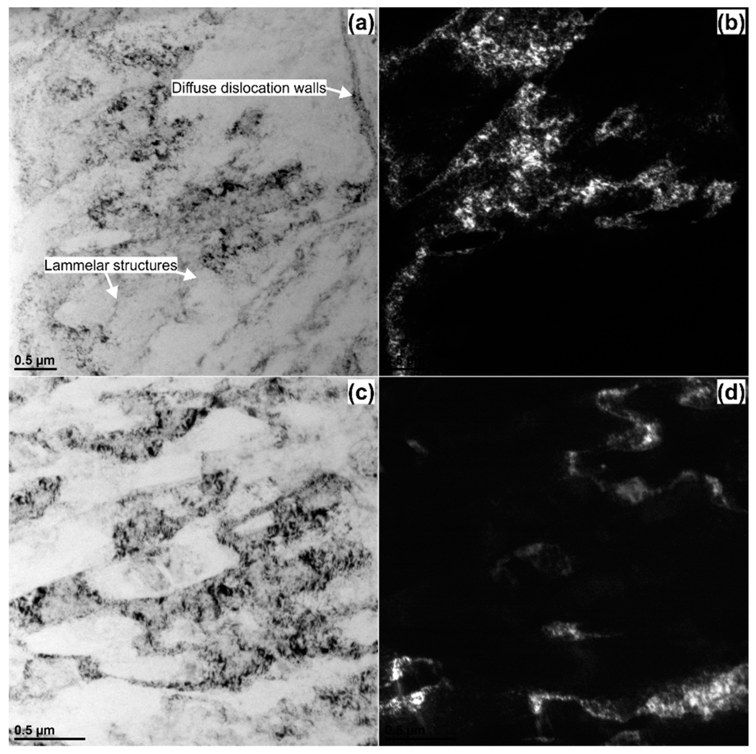 Materials 14 01010 g007