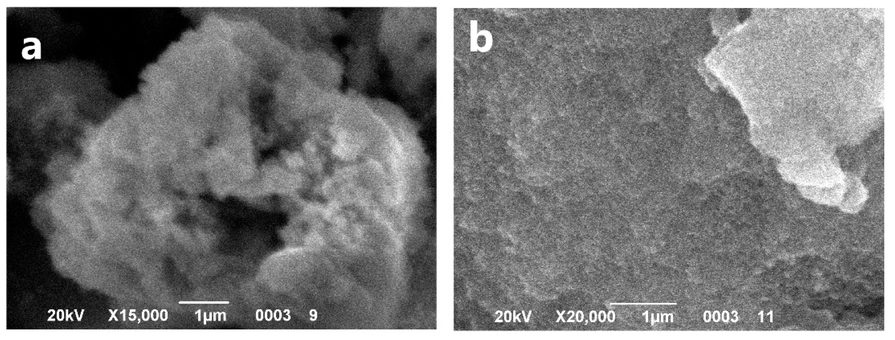 Materials 14 02899 g003