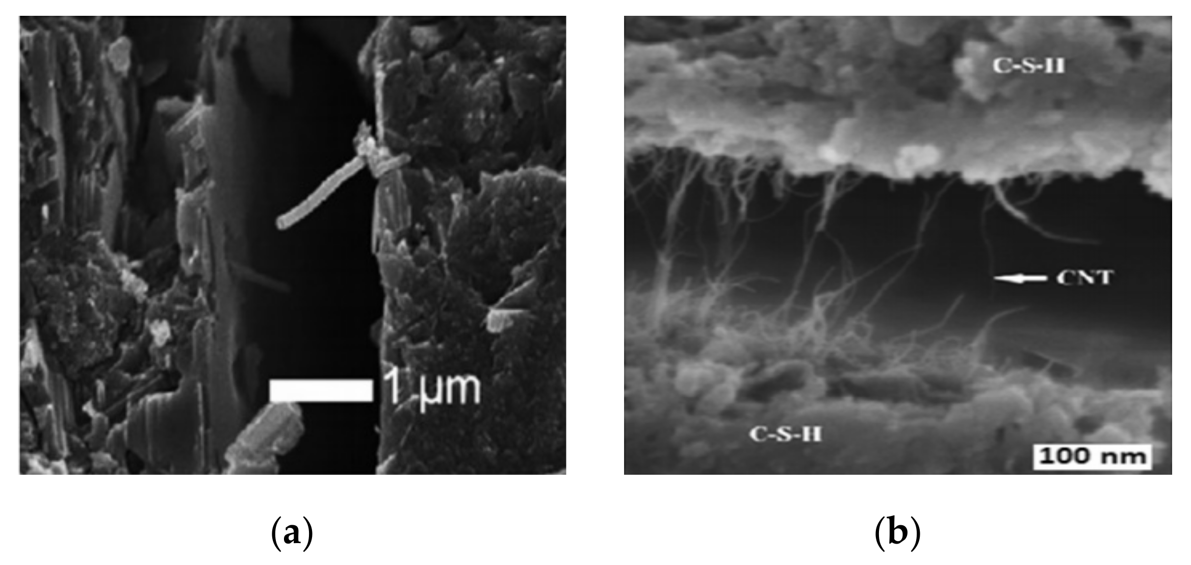 Materials 14 02950 g020