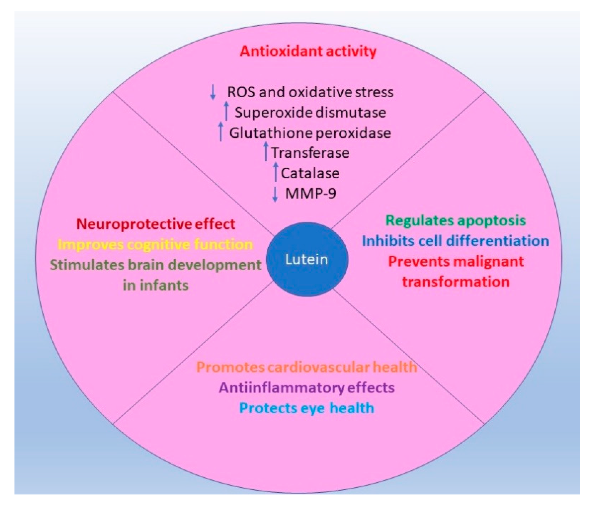 Materials 14 02968 g001