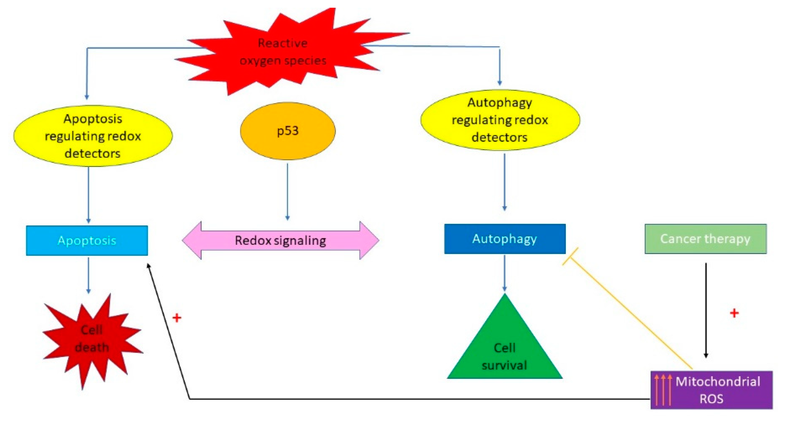 Materials 14 02968 g008