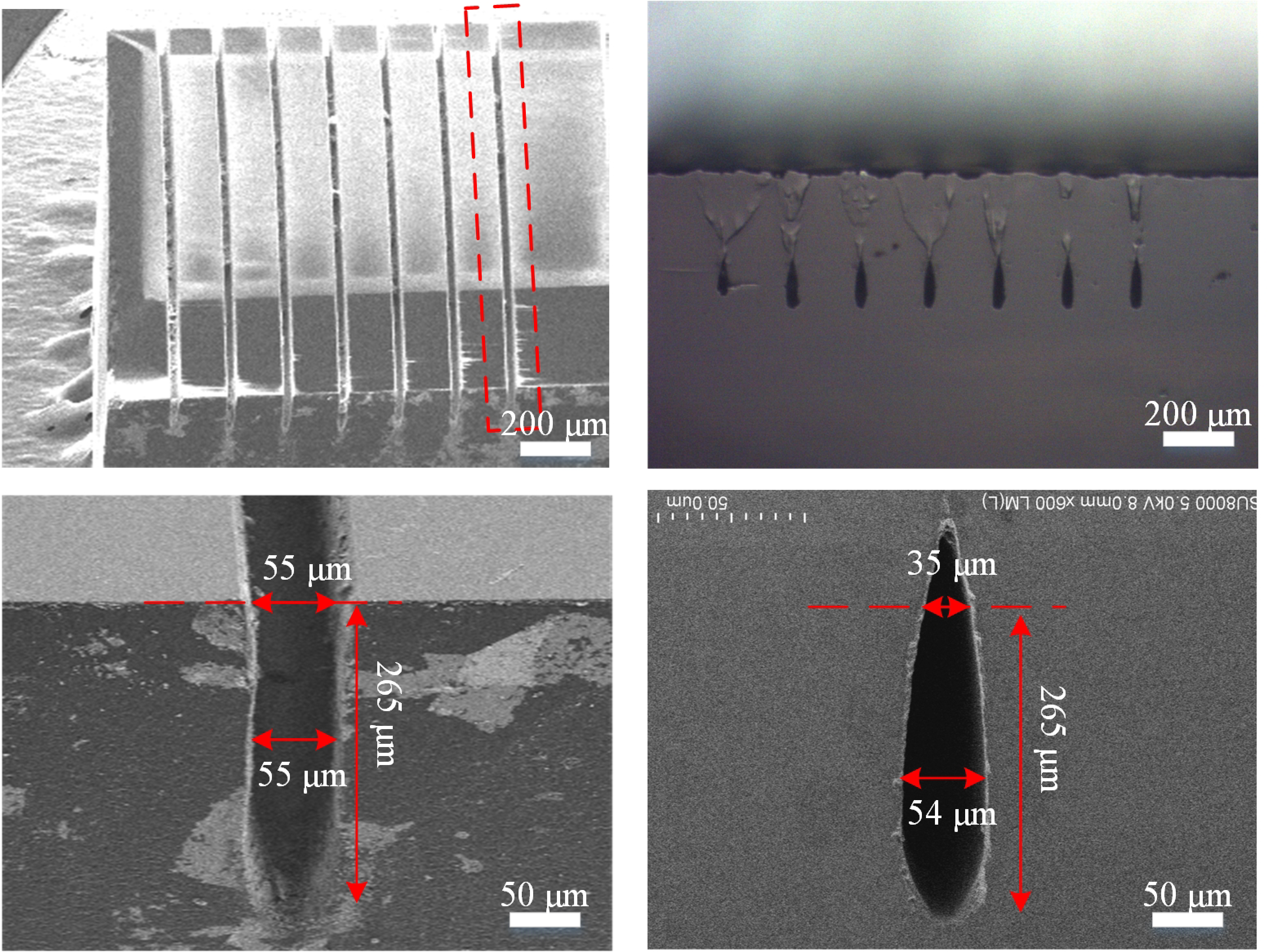 Materials 14 03006 g002