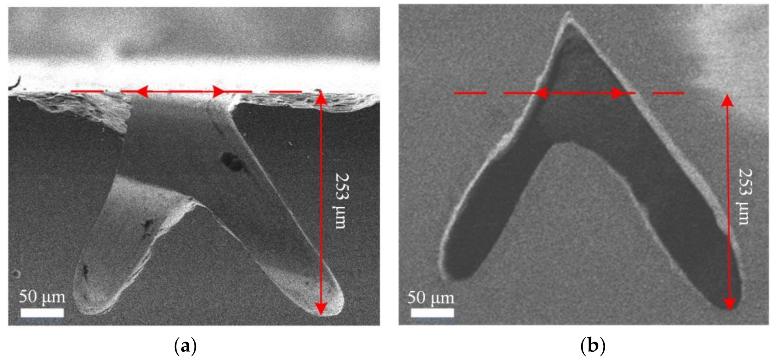 Materials 14 03006 g004