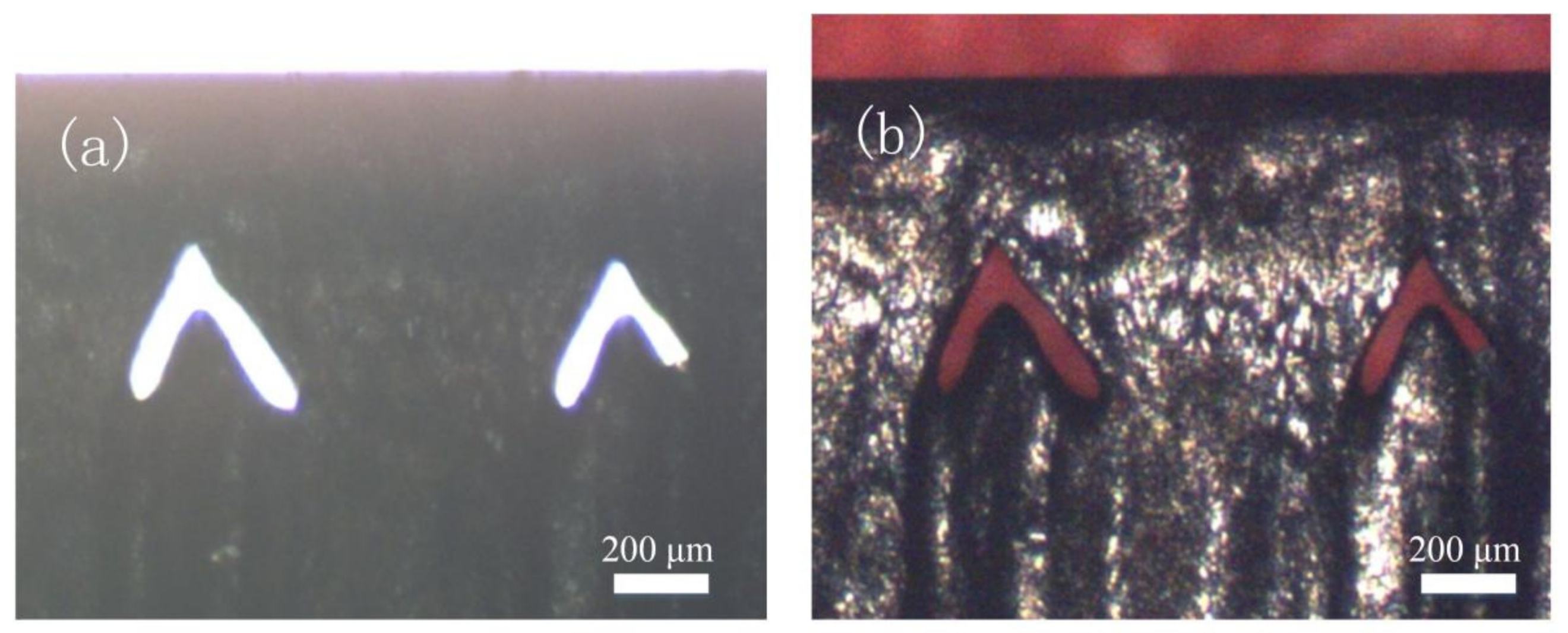 Materials 14 03006 g008