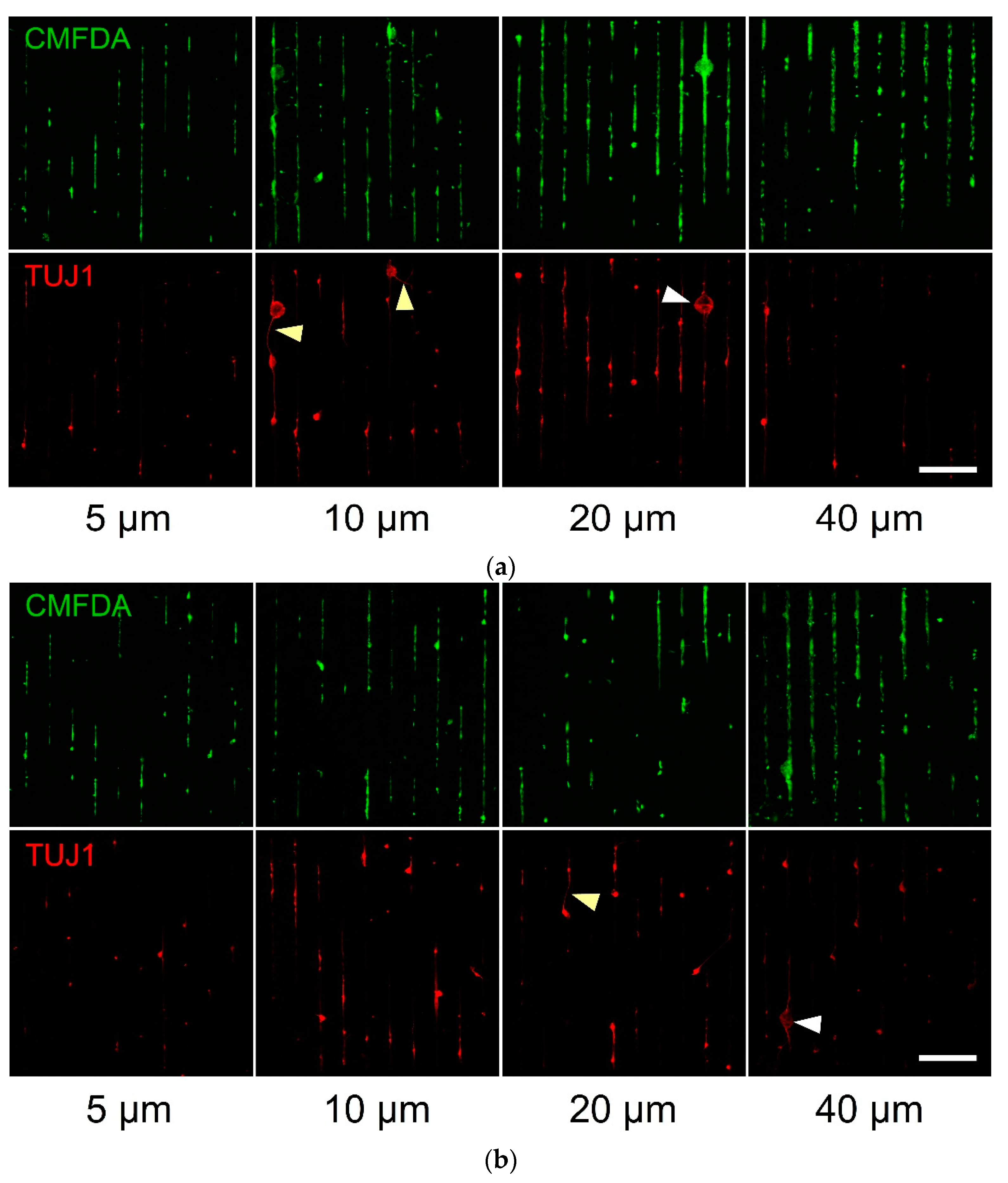 Materials 14 03174 g003