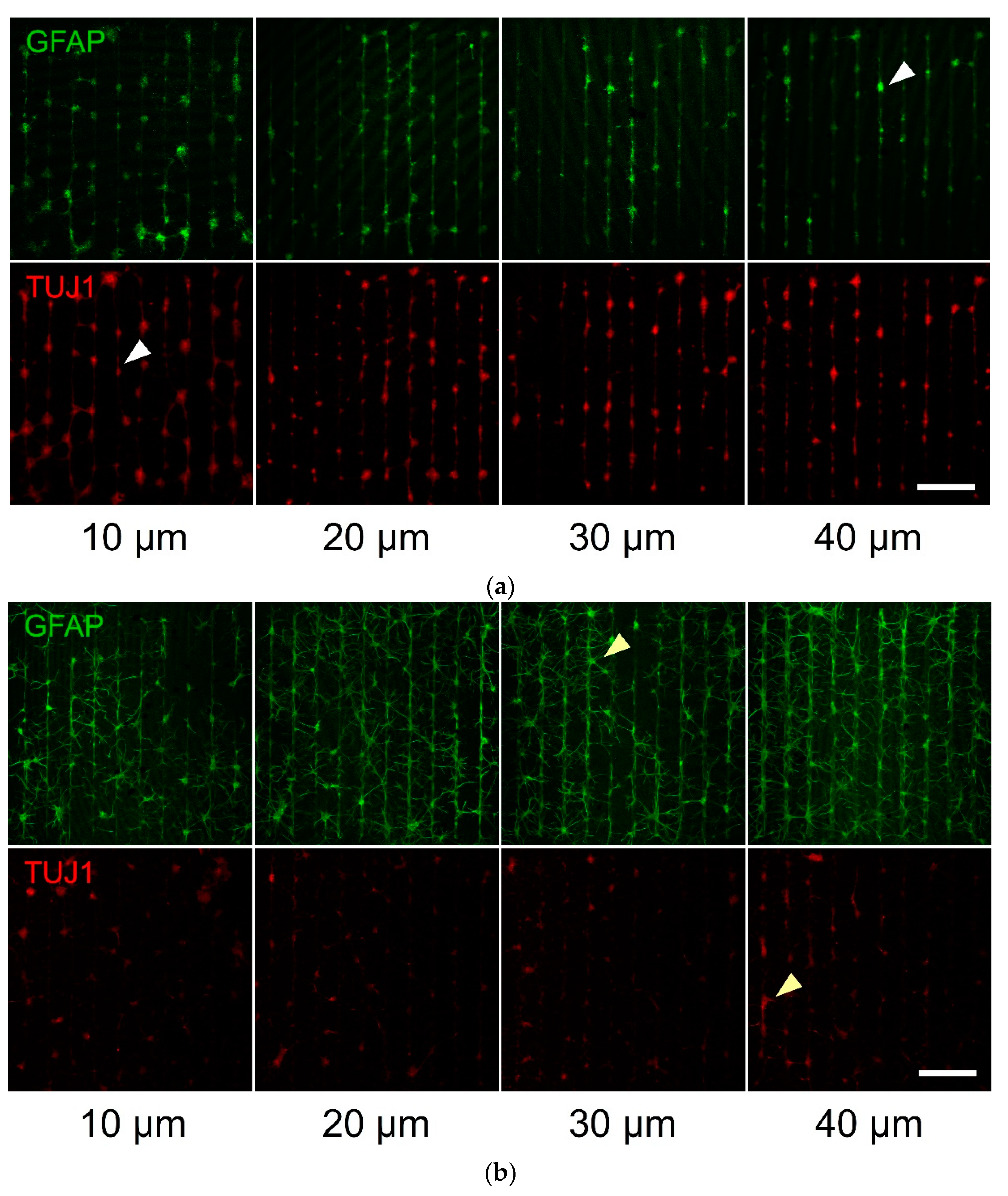Materials 14 03174 g004a