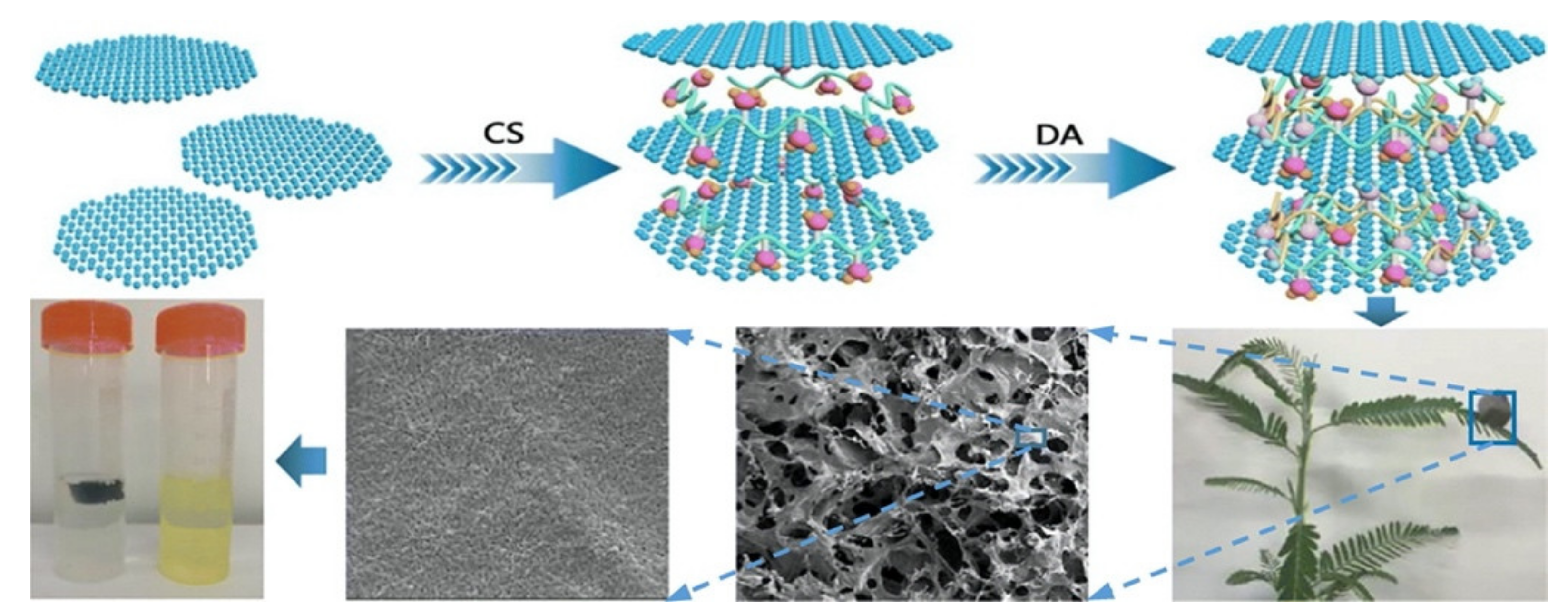 Materials 14 03655 g007