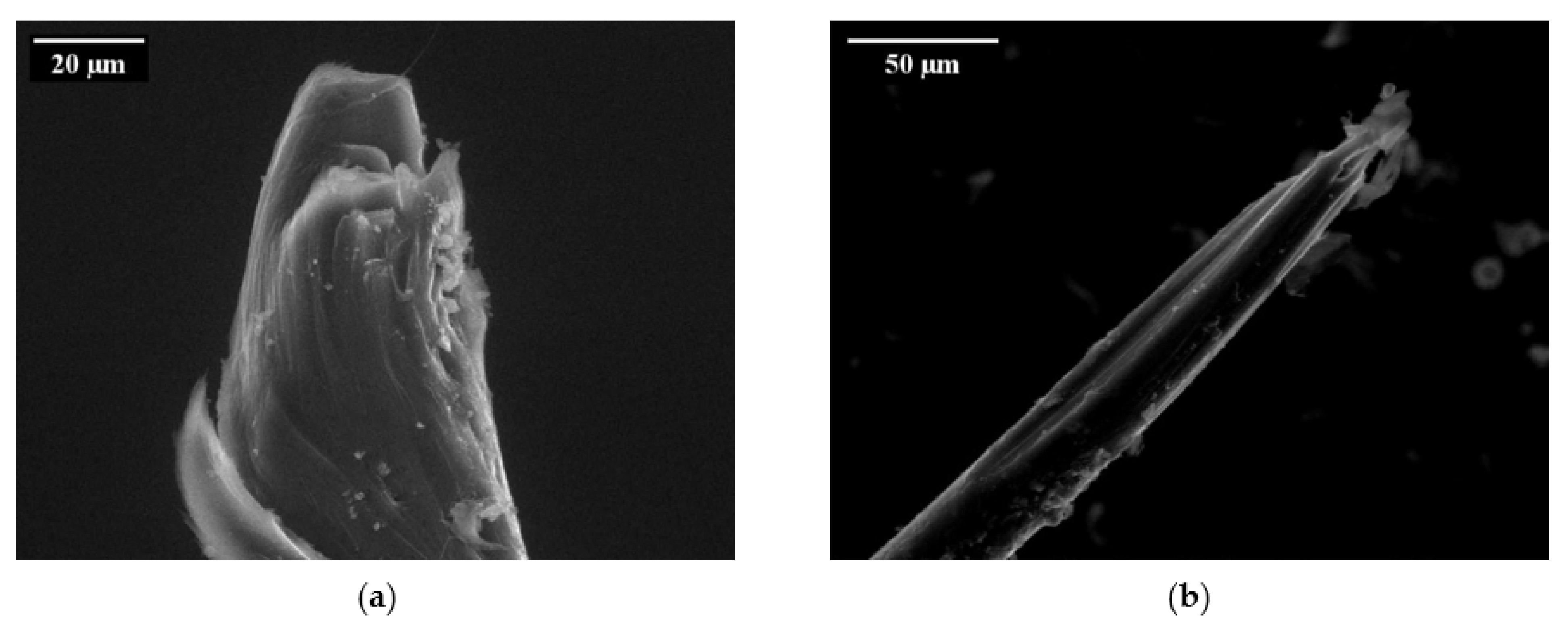 Materials 14 05634 g009