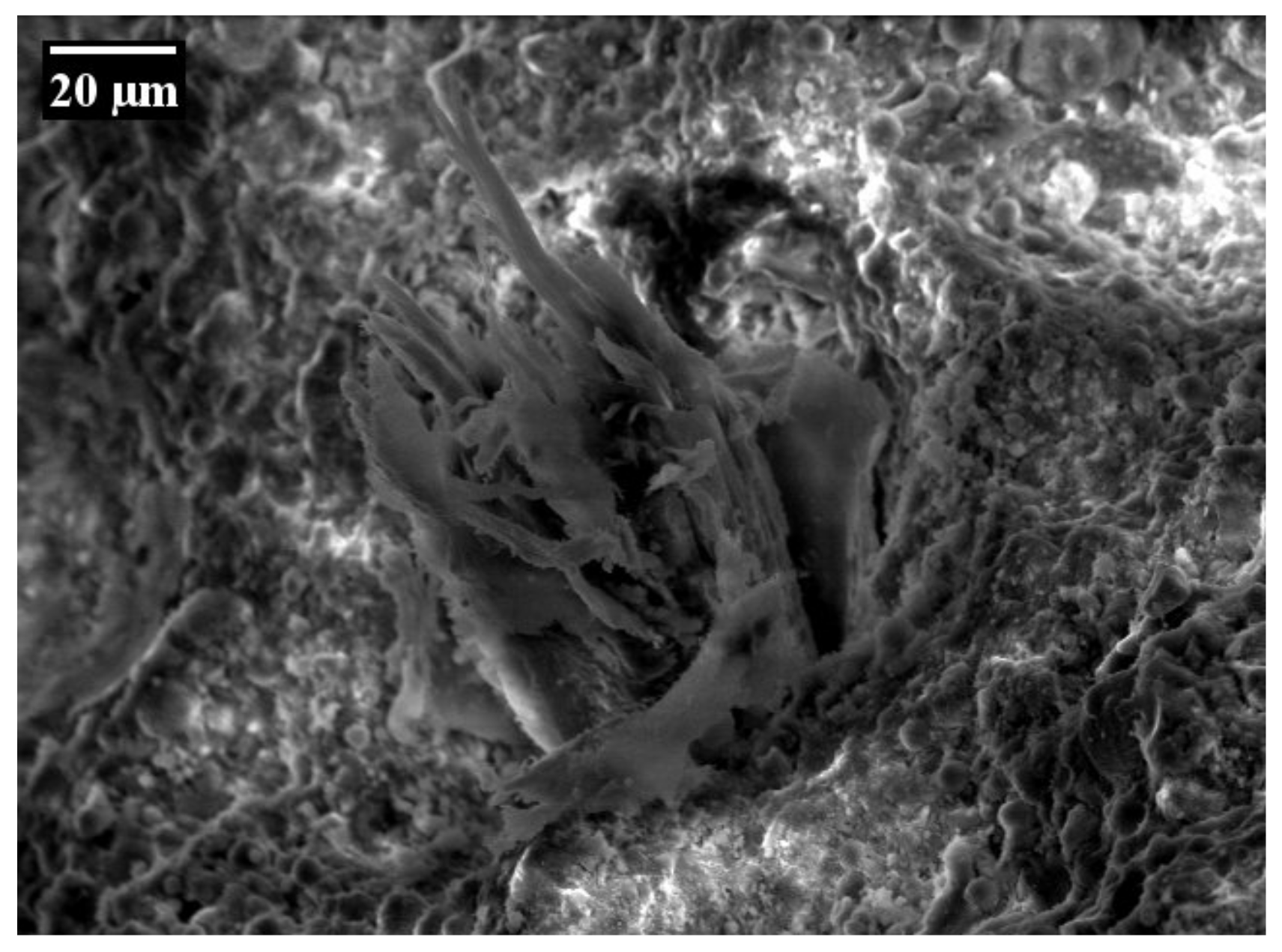 Materials 14 05634 g018